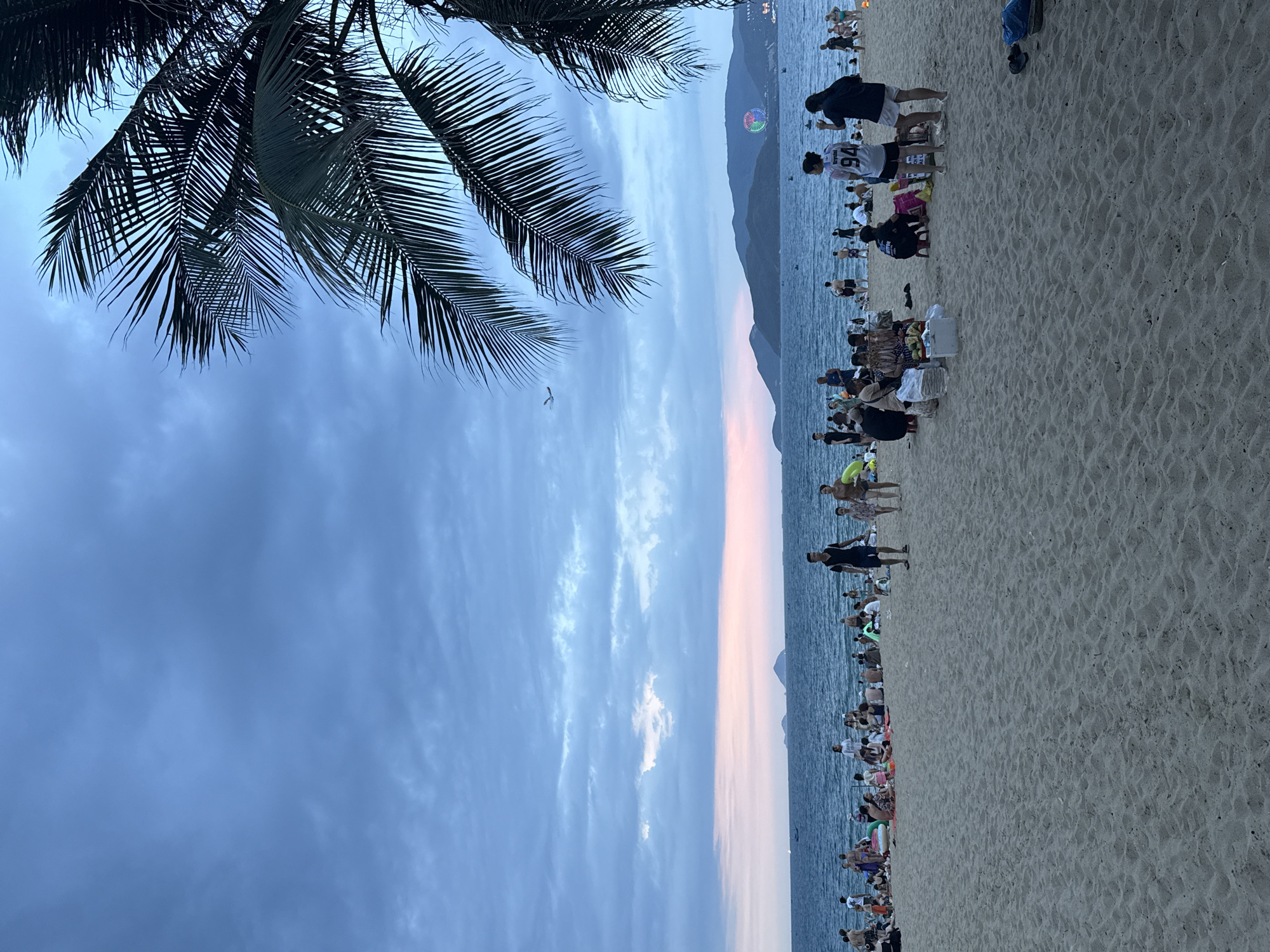 The image depicts a beach scene in Nha Trang Ward, Vietnam. A large palm tree is visible in the upper left corner. The beach is crowded with people, both standing and sitting on the sand near the water. There are mountains visible in the background. The sky transitions from dark blue to a light pinkish hue, indicating either sunrise or sunset. A faint Ferris wheel is visible in the distance. A single bird flies in the sky.