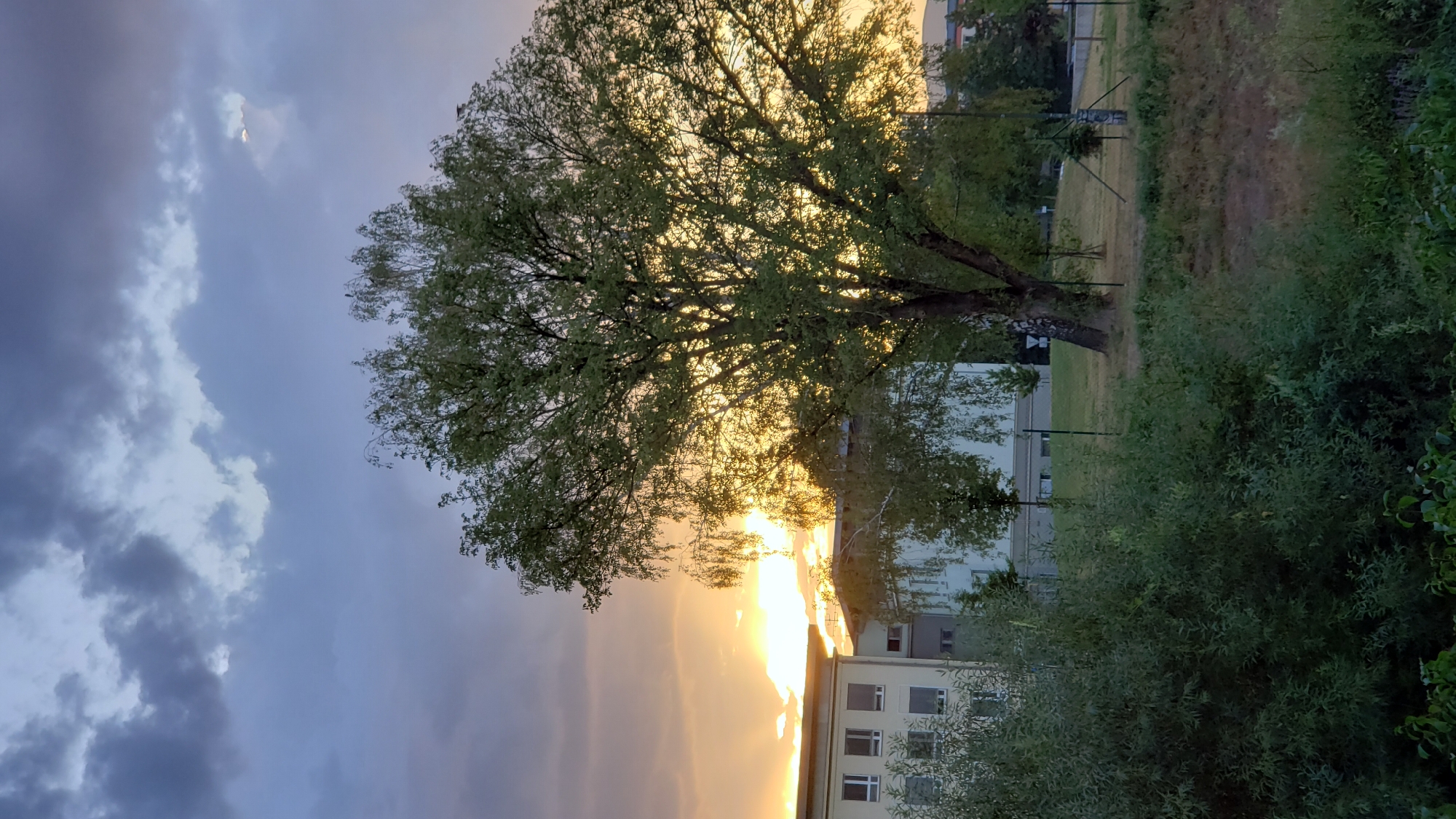 The image depicts a sunset with the sun partially obscured by clouds and silhouetted by a large tree. In the background, there are two multi-story buildings, likely part of an urban environment. The sky is filled with dramatic, dark clouds, contrasting with the bright orange and yellow hues of the sunset peeking through. Lush green vegetation, including bushes and a large tree with a characteristic white and black bark, dominates the foreground. The scene appears to be an outdoor area, possibly a park or the grounds of an institution, with a fence visible in the middle ground. No people are present in the image. The image has a serene and somewhat melancholic atmosphere due to the interplay of light and shadow and the overcast sky. Without specific landmarks, pinpointing the exact location within Prešov, Slovakia, is not possible based solely on visual cues in this image.