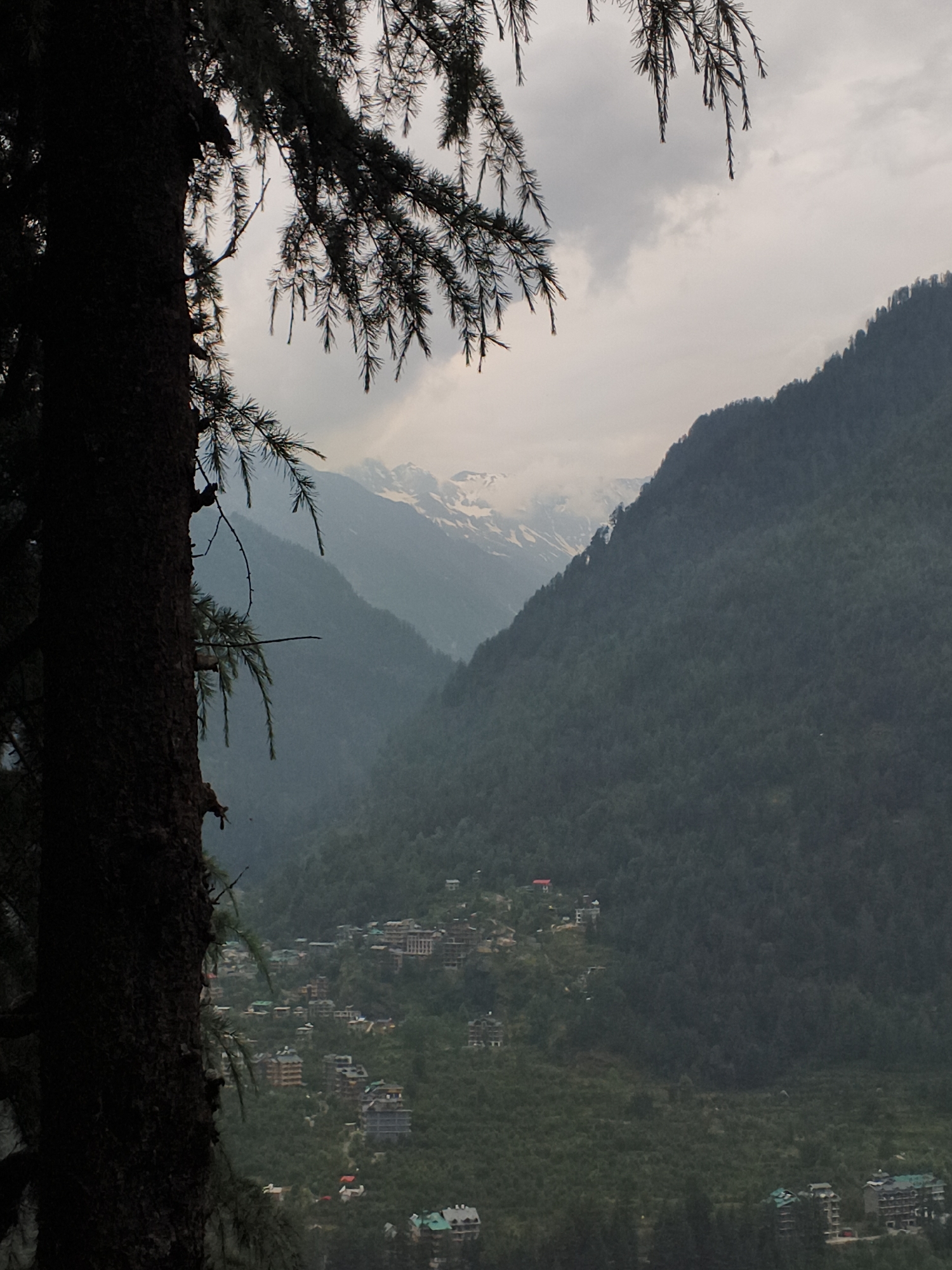 The image depicts a scenic view of a mountainous landscape with a village nestled in the valley. In the foreground, the dark silhouette of a large tree with wispy branches and needles partially obscures the view, suggesting the shot was taken from within a forested area.
The middle ground reveals a cluster of buildings that make up a village, scattered across the slopes of the valley. The architecture appears to be a mix of traditional and modern styles, with many buildings featuring multi-story structures and visible roofs. Some buildings have green or red roofs, adding small pops of color to the otherwise muted palette of the landscape.
Beyond the village, the valley narrows, with steep, densely forested mountains rising on either side. The forests are a deep green, indicating lush vegetation. In the far distance, snow-capped mountain peaks are visible, piercing through a layer of clouds. The sky is overcast and cloudy, suggesting a potentially cool or misty day.
The overall impression is one of a serene and somewhat remote mountain settlement. The time of day appears to be overcast, possibly late afternoon or early morning, given the diffused light. The location cues, such as the type of vegetation and the architecture, along with the provided context of Vashisht, India, strongly suggest a Himalayan setting. There is no visible text in the image. The scene evokes a sense of peace and natural beauty, with the human settlement integrated into the dramatic mountain environment.