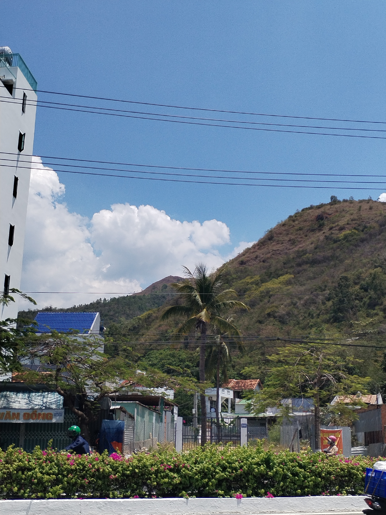 The image shows a street scene in Bac Nha Trang Ward, Vietnam. A white building is partially visible on the left. A large hill covered in vegetation rises in the background, partially obscured by a cumulus cloud. Utility wires run across the top of the image. A row of buildings and houses is situated between the street and the hill. A large palm tree stands amidst these buildings. A low concrete wall topped with a dense hedge of flowering shrubs runs along the foreground. A person on a motorbike wearing a green helmet is visible on the left side of the hedge, and another person with a red helmet is on the right. A corrugated metal fence is visible in the middle ground. A sign with Vietnamese script is partially visible on the left.