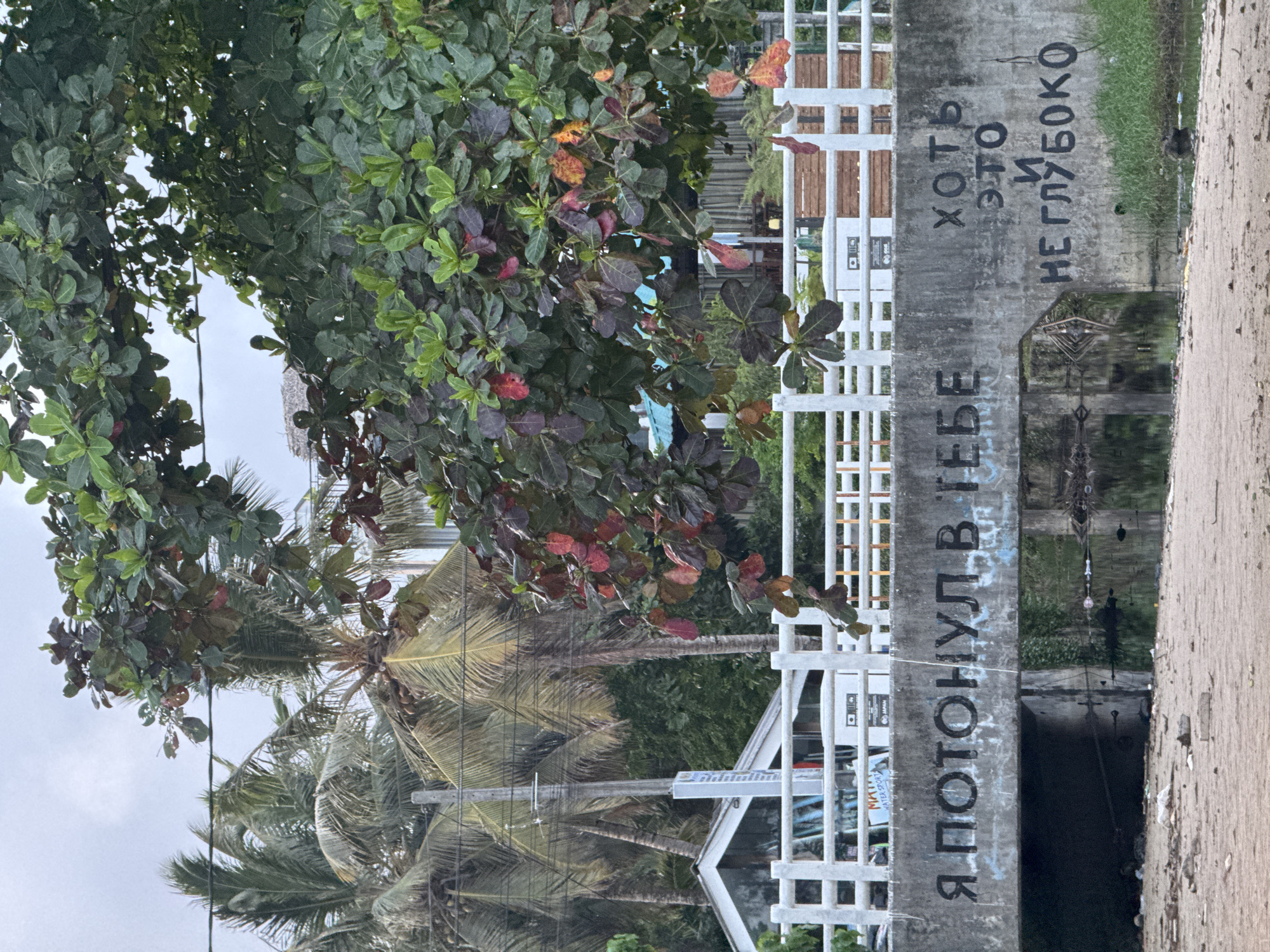 The image depicts a canal scene in Weligama, Sri Lanka. A concrete canal wall with graffiti in Cyrillic script ("Я ПОТОНУЛ В ТЕБЕ ХОТЬ ЭТО И НЕГЛУБОКО" - "I drowned in you even though it's not deep") runs along the right edge of the frame. A white picket fence is on the left side of the wall. Tropical vegetation, including palm trees and a tree with red-tinged leaves, fills the left portion of the frame. Reflections are visible on the water surface of the canal. Overhead power lines are visible among the palm trees.
