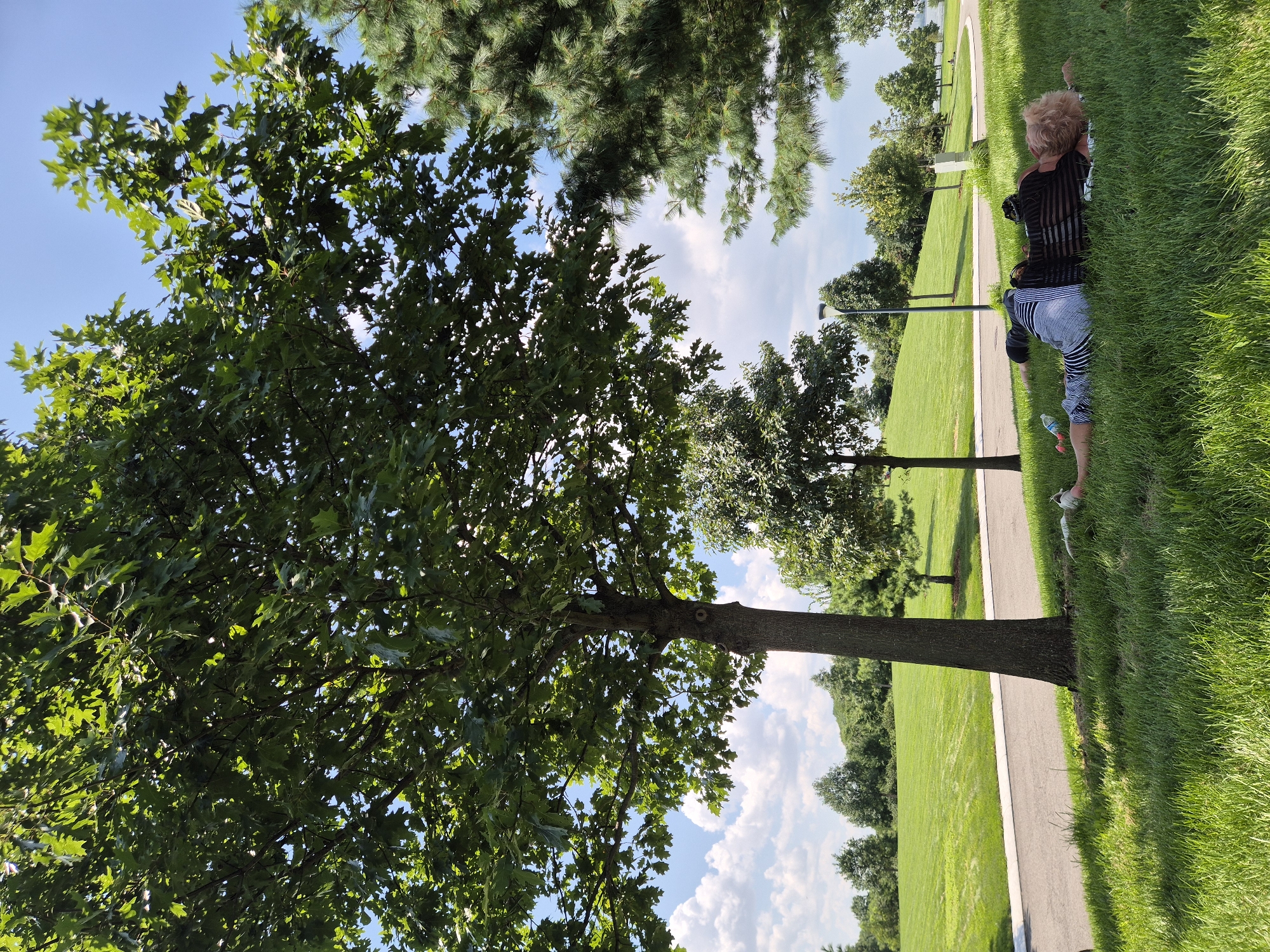A person is lying on their back on a grassy slope in a park, under the shade of a large tree. The person is wearing striped pants and a dark, striped shirt. Their head is resting on a white mat. In the background, there is a paved path, a lamppost, and more trees and greenery, indicative of a park setting. The sky is blue with scattered clouds. The image does not contain enough information to determine its specific location in New York City, United States of America.