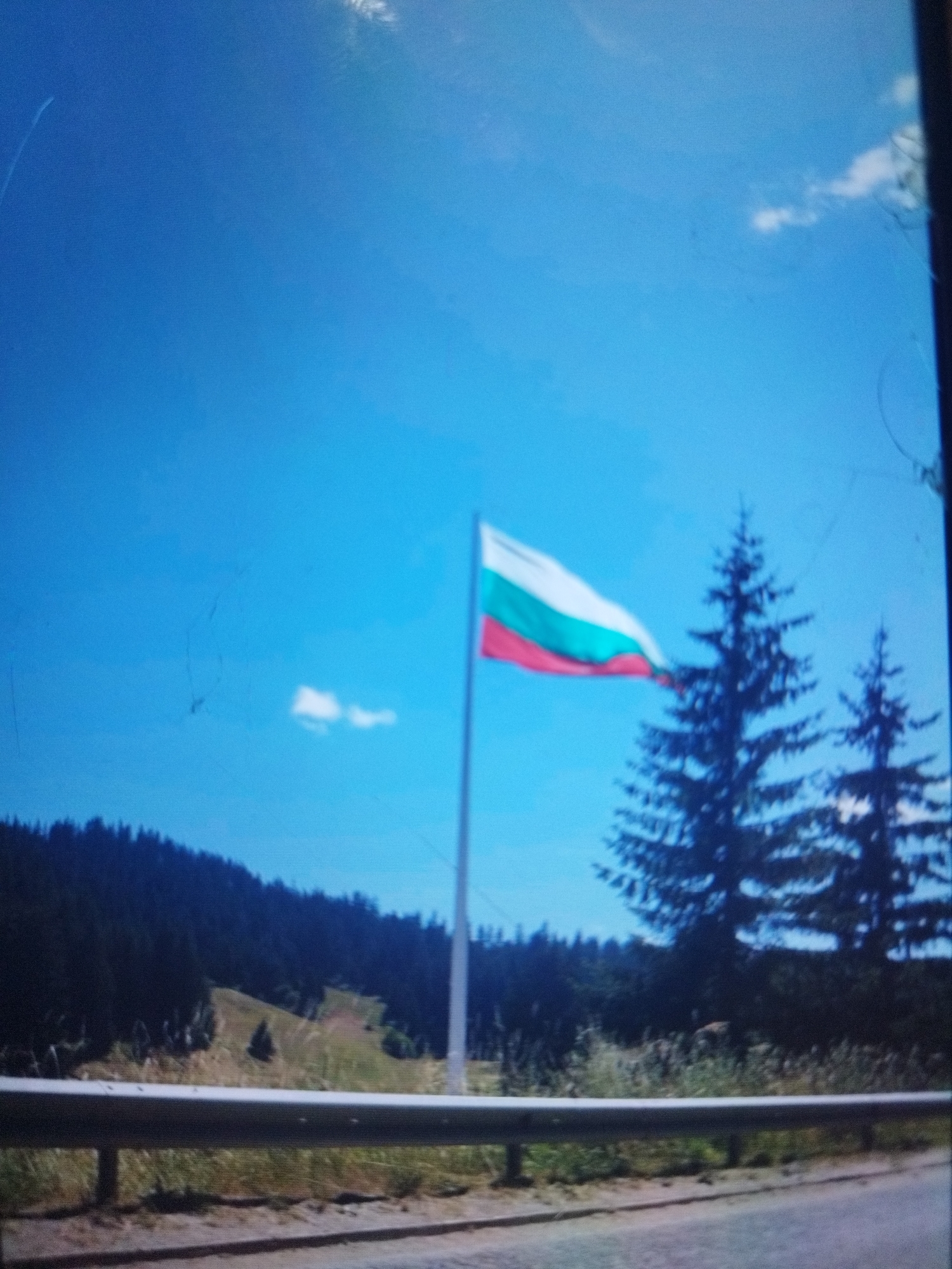 A daytime shot depicts the Bulgarian flag waving against a clear blue sky, with a backdrop of pine trees and a forested hillside. A metal guardrail runs along the bottom of the frame, suggesting a roadside location. The image does not suggest the location is within the city of Plovdiv.