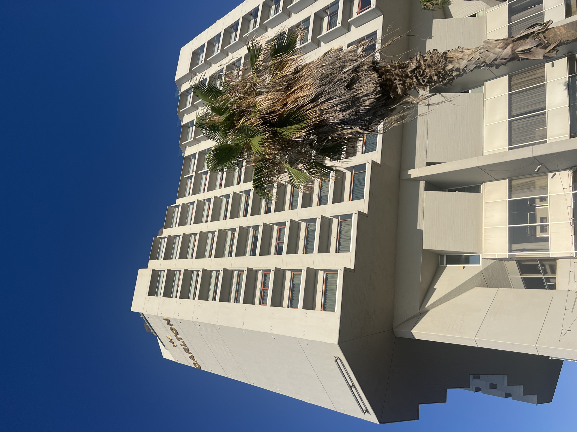 The image shows a low-angle shot of the Carlton Hotel in Tel Aviv, Israel, against a clear blue sky. The hotel is a tall, modern building with a beige facade and multiple balconies. A large palm tree with dry fronds is positioned in front of the building, partially obscuring it. The architecture of the hotel features sharp angles and geometric shapes. The lighting suggests it is daytime, with the sun casting shadows on the building. There are no people visible in the image.