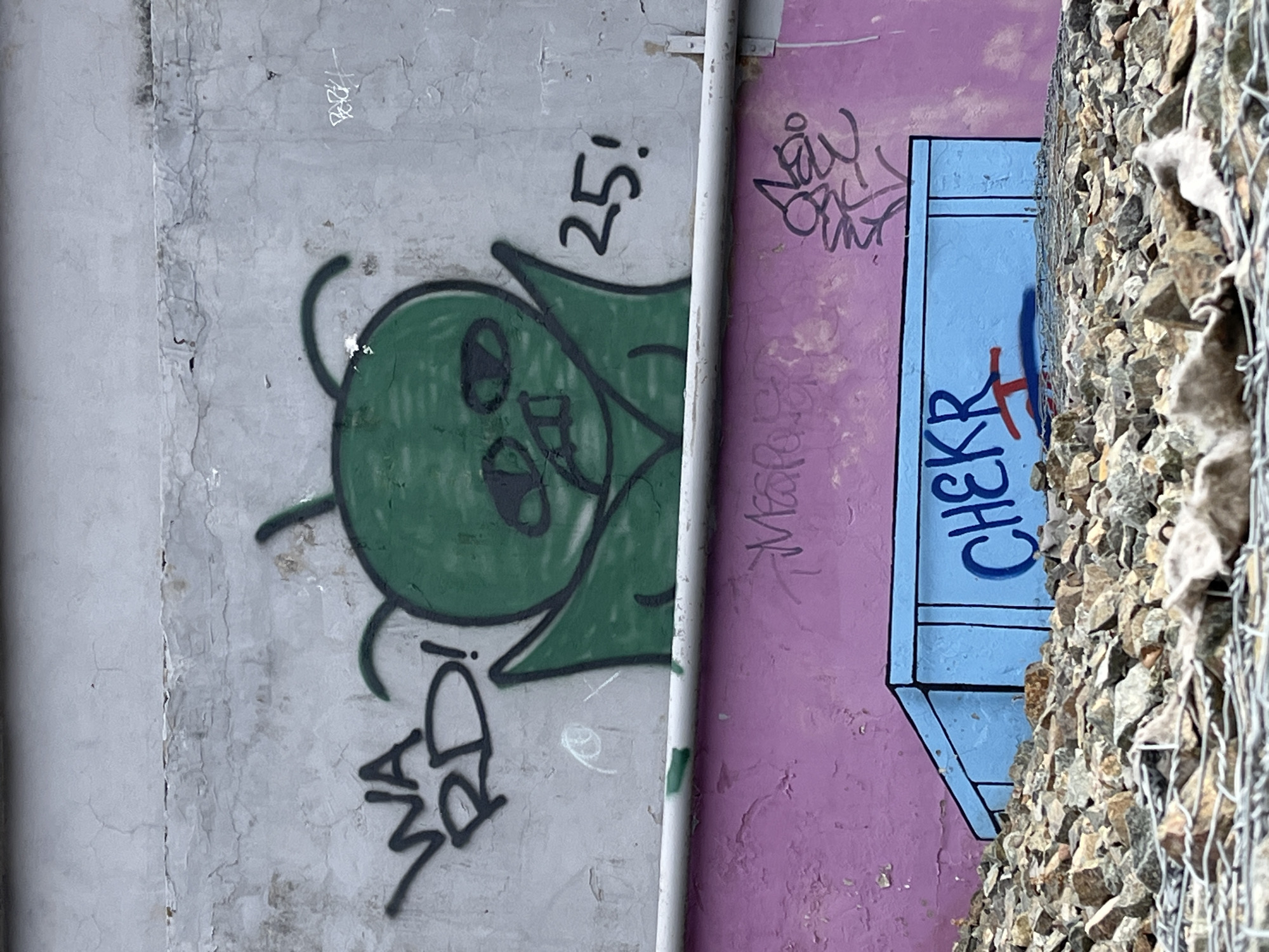 This image depicts an outdoor urban scene in Krasnoyarsk, Russia, featuring a multi-layered wall with graffiti and a foreground of aggregate.
The upper section of the wall is grey concrete, displaying cracks, discoloration, and peeling. On this section, prominent black graffiti reads "WA RD!" on the left. Centered on the grey wall is a large green alien-like figure with two antennae, distinct black eyes, a small mouth, and pointed shoulders or wings, outlined in black. To the right of this figure, black numbers read "25!". Scattered smaller, indistinct white and black markings are also present on the grey surface.
A horizontal, light grey metal pipe runs across the mid-section of the image, physically separating the grey wall from the wall below. Green paint smudges are visible on the underside of the pipe, which is secured to the wall with visible brackets on the right.
Below the pipe, the wall is painted a vibrant pink/magenta, also exhibiting texture and areas of peeling paint. Faint, black graffiti tags are present on this pink surface, including a larger, more distinct tag on the right.
At the base of the pink wall, a light blue rectangular panel or structure is visible. This object is outlined in black, giving it a three-dimensional, box-like appearance. On its front surface, blue graffiti spells "CHEKR," with a small red cross or "T" mark positioned above and to the right of the "R," accompanied by a blue shadow effect.
The foreground consists of a densely packed pile of crushed rocks and aggregate, predominantly grey and brown, varying in size. This rock pile is partially covered by a metallic wire mesh, visible in the immediate bottom foreground, suggesting a gabion-like structure or retaining element. No people, actions, or direct interactions are visible in the scene.