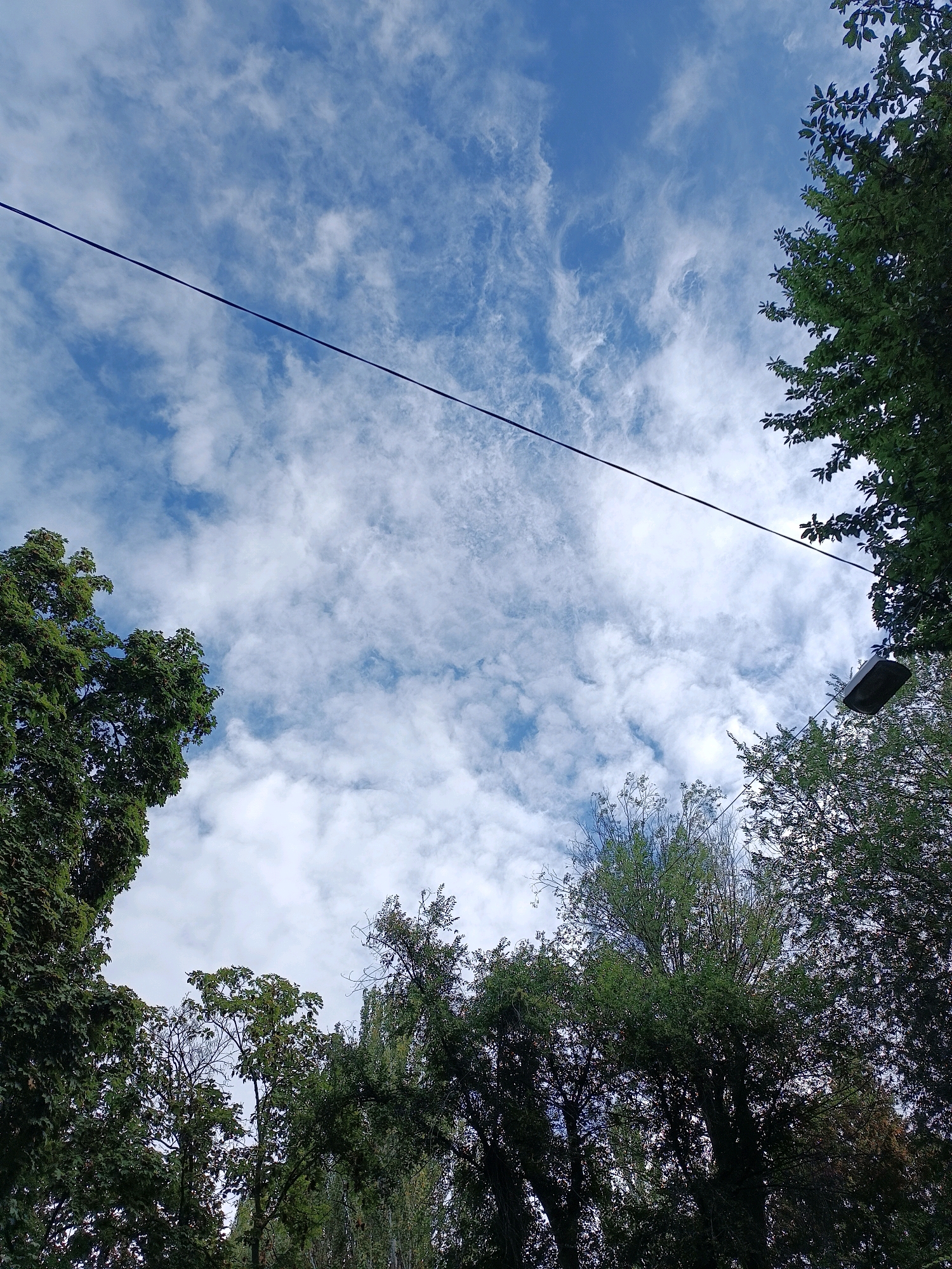 The image shows a view looking upwards towards a sky with scattered clouds, framed by the tops of trees on the left and right. A dark, thin wire stretches diagonally across the upper part of the frame, and a streetlamp is visible hanging from a wire on the right side. The trees are lush and green, suggesting a time of year with foliage. The scene appears to be an outdoor urban or park setting, likely in Chișinău, Moldova, given the context provided. There are no people visible in the image.