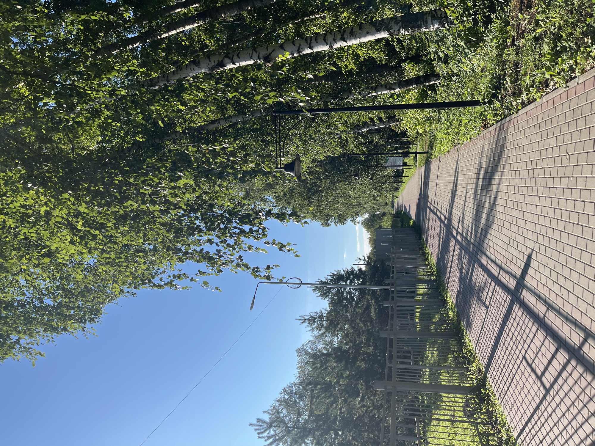 The image depicts a paved walkway lined with trees on both sides, under a clear blue sky. On the left, a metal fence separates the walkway from a grassy area with evergreen trees. A lamppost is visible along the walkway. On the right, a dense line of birch trees with white bark and green foliage creates a shaded canopy. The walkway is made of red and grey pavers, and the shadows of the trees are cast across it. The scene appears to be in a park or a tree-lined street in Blagoveshchensk, Russia, possibly near a railway line given the presence of what might be a power line and fence consistent with such an environment. There are no people or animals visible in the image. The lighting suggests it is daytime, with sunlight filtering through the leaves.