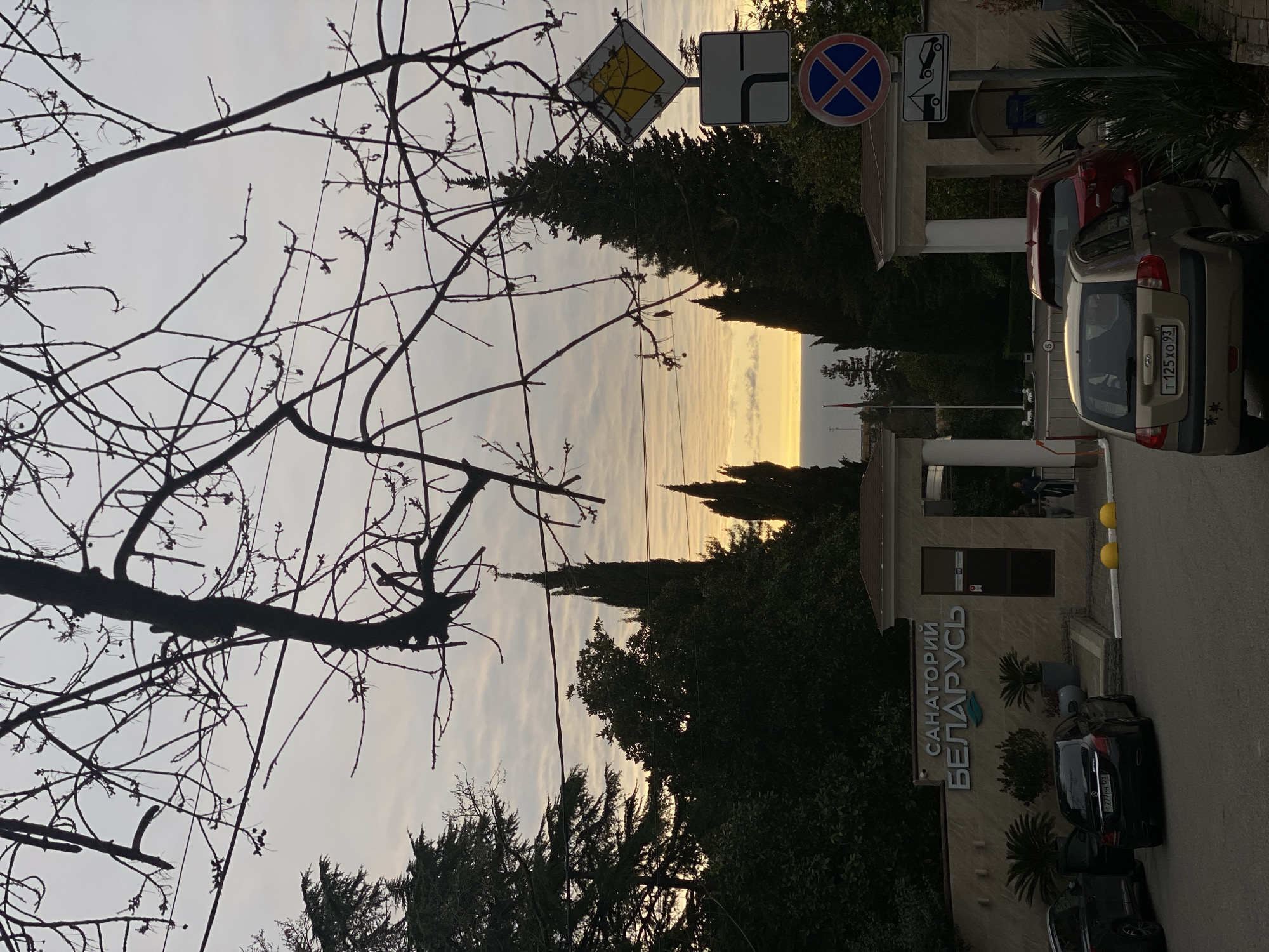 The image depicts the entrance to Sanatorium Belarus (САНАТОРИЙ БЕЛАРУСЬ) in Sochi, Russia, captured at either sunrise or sunset. The sky, a pale grey with textured clouds, transitions to an orange glow on the horizon above the Black Sea, visible in the distance. The foreground is dominated by silhouetted, bare tree branches, with two dark electrical wires running horizontally through them.
To the left, a light-colored stone wall bears the sanatorium's name in prominent white Cyrillic letters and a teal logo. Potted plants, resembling palms, are placed along the wall's base. A dark sedan with its driver's door open is parked parallel to the wall, followed by a dark SUV. The sedan's partially visible rear license plate reads B777HH 123.
In the center-right, a gatehouse with two prominent pillars marks the entrance, preceded by two yellow, spherical bollards on the asphalt. A single individual is discernible near the gatehouse entrance on the right. Adjacent to the gate, a metal pole displays four vertical road signs: a yellow diamond-shaped 'Priority Road' sign, a white rectangular 'Right Turn Ahead' sign, a blue circular 'No Stopping/Standing' sign with a red cross, and a white rectangular 'Tow Away Zone' sign.
A gold Hyundai Getz hatchback, with Russian license plate T 125 XO 93, is parked facing away from the viewer in the lower right, partially obscuring a red hatchback behind it. Beyond the entrance, a dense arrangement of dark green trees, including tall cypress varieties, frames the view towards the sea, where a faint red flag on a pole is visible.