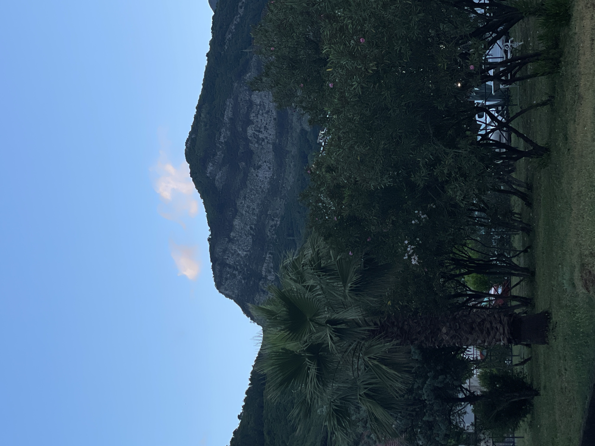 The image depicts a landscape scene in Unknown, Unknown. Dominating the frame is a large, rocky mountain that rises up on the left side. Patches of greenery cover sections of the mountain, giving it a textured appearance. In the foreground, a palm tree is centrally positioned with its fronds extending towards the mountain. To the right, a row of trees and shrubs lines the area, creating a barrier between the vegetation and what appears to be a building or structure with white elements partially visible. The sky occupies the upper left portion of the image, showcasing a clear, pale blue hue with the presence of a small cloud. The overall lighting suggests either early morning or late evening.