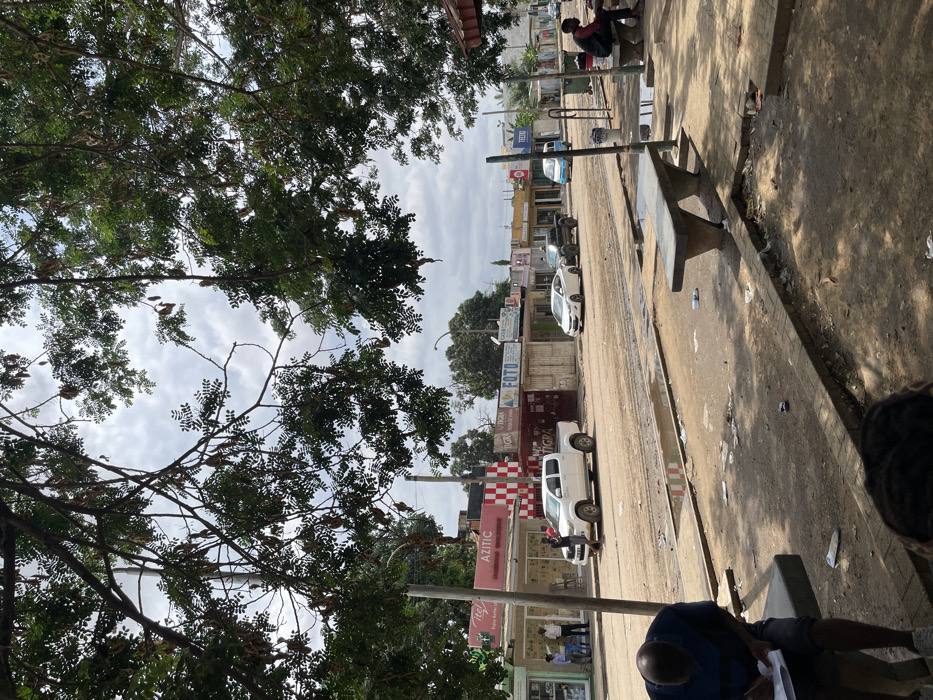 This media file captures an outdoor street scene in Luanda, Angola, presented in a portrait orientation but originally captured sideways, depicting a busy street and sidewalk. The sky, partially obscured by lush green trees with dense foliage, suggests an overcast day.
The scene features a street that appears to be unpaved or heavily worn, possibly with a mix of dirt and gravel. Numerous cars, including a prominent white pickup truck and a white sedan, are visible parked or moving along the road. On the right side, a paved sidewalk runs parallel to the street, lined with two concrete benches. One person sits on a bench in the top-right, while another person is seen from an overhead perspective in the bottom-right, seated on a bench and seemingly writing or examining papers.
Buildings line both sides of the street, appearing to be commercial establishments or shops, some with signs. Several other people are scattered along the street and near the buildings, engaged in various daily activities like standing or walking.
Notable details include utility poles running along the street and visible litter, such as plastic bottles, strewn across the sidewalk and road. The overall ambiance suggests a lively, somewhat rugged urban environment.
Visible text on building signs includes "FOTO," "TIGRA," "AZITIC," and "itel," likely indicating businesses or brands present in the area.
