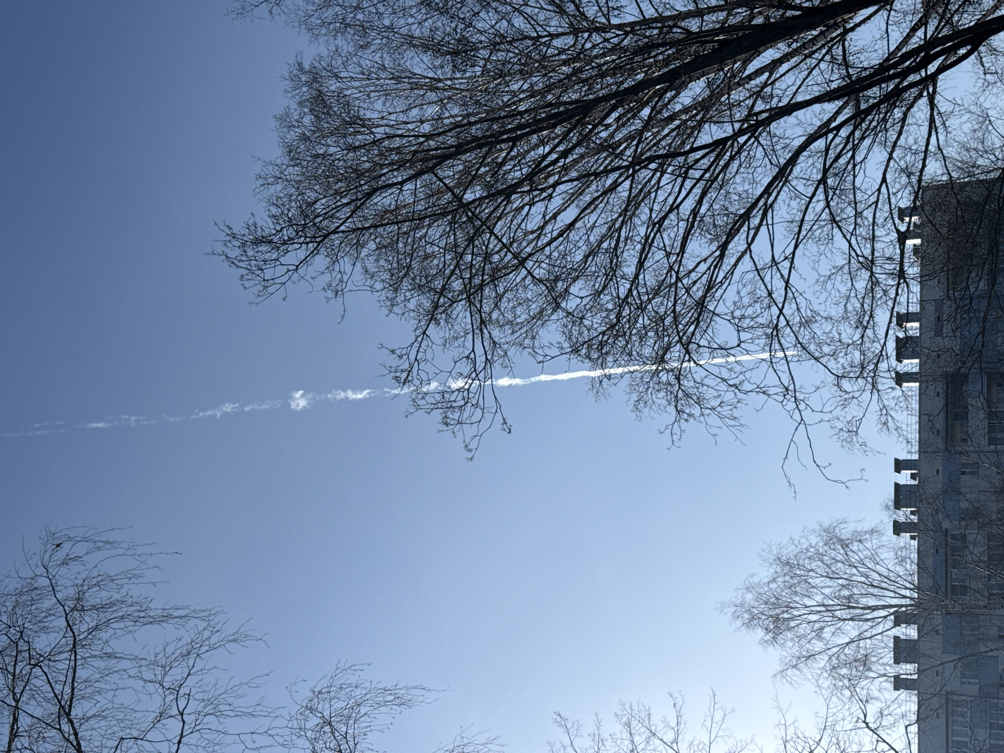 The image depicts a view looking upwards towards a pale blue sky partially obscured by the bare branches of trees. A contrail stretches across the center of the sky. A tall building is visible on the right side of the frame, partially obscured by tree branches. The photograph appears to be taken from an urban environment, given the presence of the building and contrail. However, the image does not provide enough information to determine the location in Izhevsk, Russia or any specific details about people, subjects, objects, actions, or interactions.