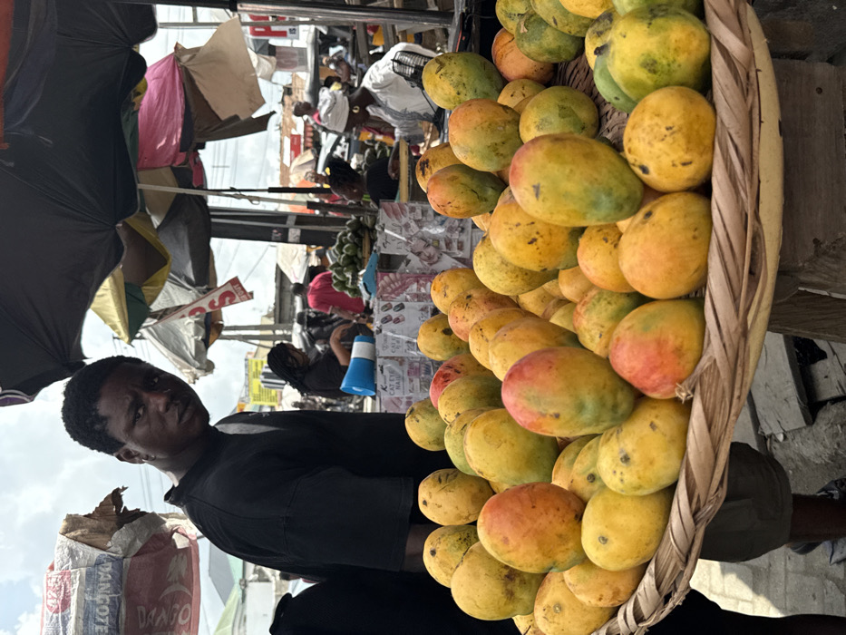This image captures a vibrant, open-air market scene in Lagos, Nigeria. In the immediate foreground, a large, shallow, round woven basket is filled with numerous ripe and semi-ripe mangoes, exhibiting shades of yellow, orange, red, and green. To the left of this display, a young adult male, wearing a dark short-sleeved shirt and an earring in his left ear, looks directly at the camera with a neutral expression. Behind the mangoes, on a market stall, various packaged items, including "CAT EYE NAIL" products, are visible alongside a light blue megaphone.
The midground reveals a bustling marketplace with multiple individuals and stalls operating under an assortment of market umbrellas and makeshift tarpaulin shelters, varying in color from black to yellow, pink, and grey. To the right, a person in white traditional attire and a headwrap is partially visible behind a stall. Further left, another individual with dark hair tends to a stall, also featuring a blue megaphone on its counter. In the center midground, green produce, possibly avocados, is piled on another vendor's table. The background shows more market activity, indistinct figures, and a dense urban environment with overhead electrical wires and distant structures, all under a cloudy sky. A white and red tarpaulin canopy with the word "DANGOTE" printed on it is visible in the upper left section of the frame.