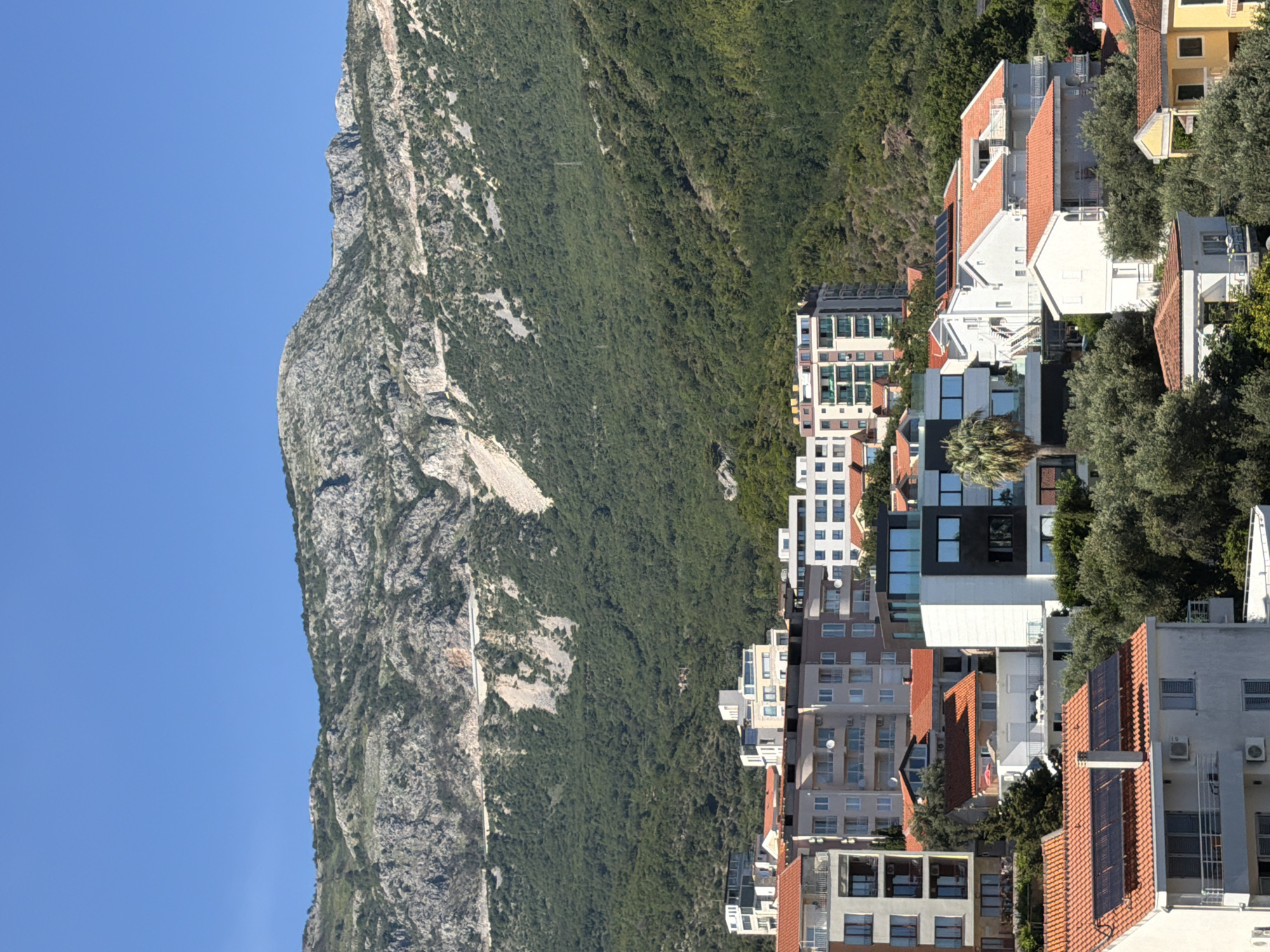 This image depicts a residential area nestled on a green hillside against a prominent, rocky mountain range under a clear blue sky, characteristic of Boreti, Montenegro.
In the foreground, a collection of residential buildings with various architectural styles is visible. Most are white or light-colored, featuring red or orange terracotta tile roofs. Several buildings include balconies, and at least two roofs are equipped with dark solar panels. A modern multi-story building with a striking black and white facade and large dark windows stands centrally, flanked by dense green foliage, including a tall palm tree. Other smaller houses, some white, some yellow, are partially obscured by numerous olive-like trees.
The midground features additional multi-story apartment complexes, typically light-colored with multiple balconies, blending into the ascending slope. The lower and mid-sections of the mountain are densely covered with green trees and vegetation.
In the background, a large, rugged mountain dominates the upper half of the scene. Its upper reaches display significant exposed grey rock formations and barren patches, indicating scree slopes or erosion. A light-colored winding road or track is visible traversing high across the mountain face. The sky above is uniformly clear and bright blue, indicating sunny weather. No discernible individuals or specific activities are present within the frame.