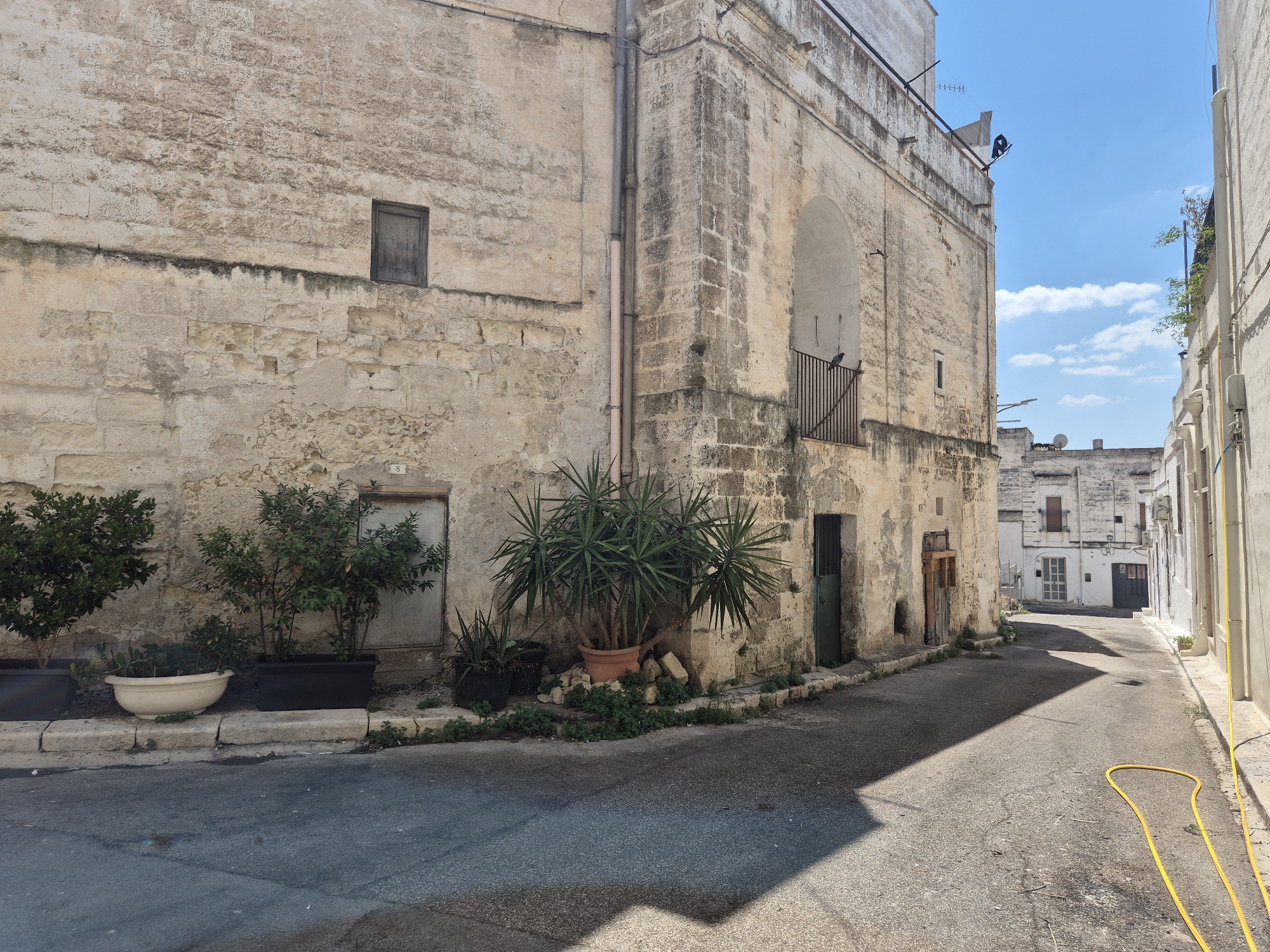 The image depicts a narrow, sun-drenched street in Laterza, Italy, characterized by aged, stone buildings. On the left, a textured, weathered stone wall occupies a significant portion of the frame, featuring a small, dark wooden-framed window. At the base of this wall, several potted plants are arranged, including leafy green bushes and a large Yucca plant in a terracotta pot. A grey, paved surface, likely a sidewalk, runs along the wall, and a street with asphalt runs in front of it.

The building on the right is also constructed of stone and features an arched opening with a wrought-iron balcony. A dark green metal door is visible on the ground floor of this building. The street recedes into the distance, revealing more buildings with a similar architectural style, some with closed shutters and balconies. A bright yellow hose lies coiled on the right side of the street, extending from a building further down the lane. The sky above is a clear blue with a few scattered white clouds, and the scene is illuminated by bright sunlight, casting sharp shadows across the street and buildings. The overall impression is one of timelessness and a distinctly Mediterranean ambiance.