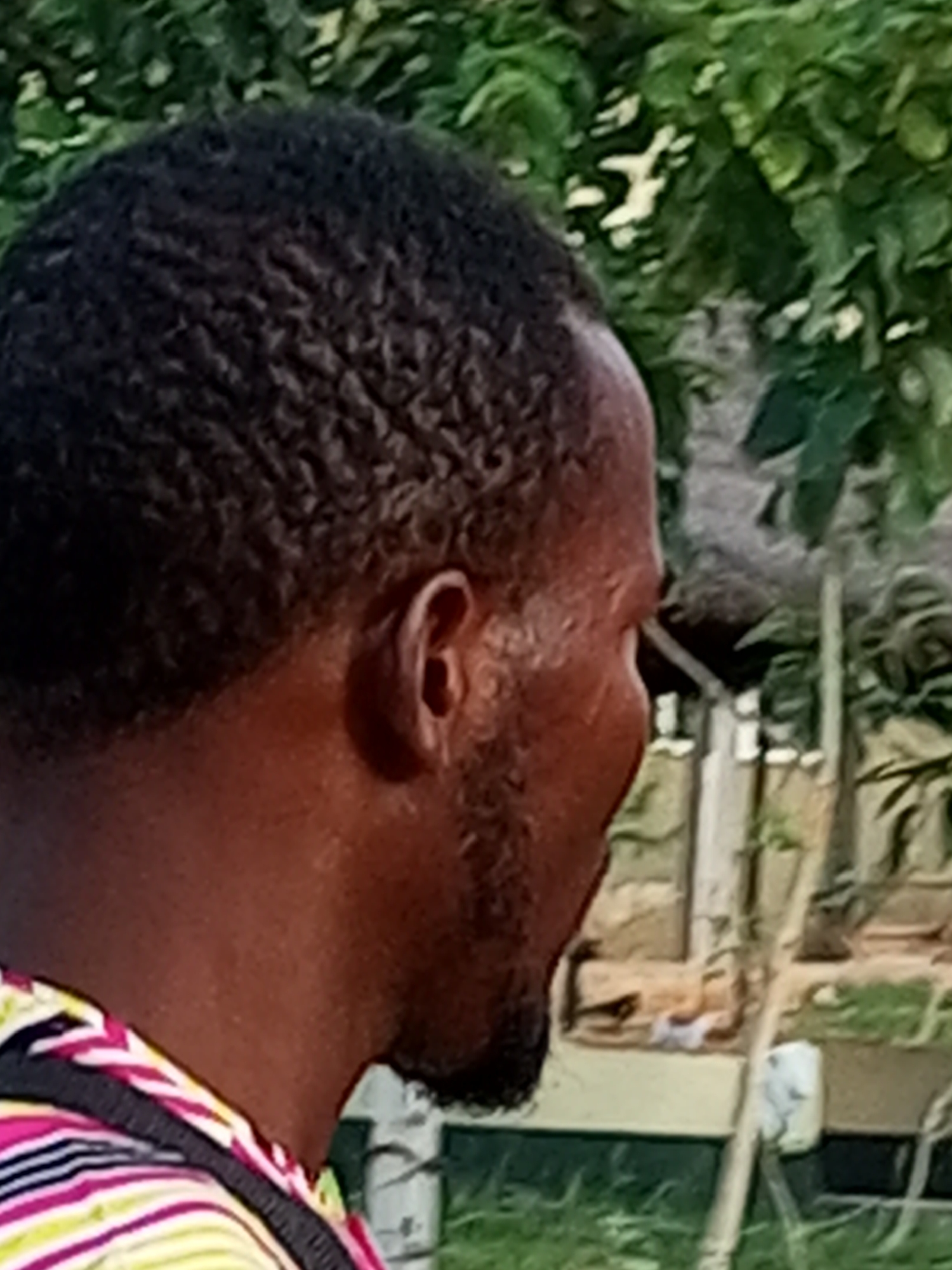A close-up, side profile shot focuses on the head and upper shoulder of a dark-skinned individual. The person has tightly curled dark hair and a short beard. Their face is reddish-brown, with sweat visible on the skin, suggesting warmth or exertion. The individual is wearing a multicolored striped shirt, with bright pink, yellow, green, and white stripes. The background is out of focus and appears to be an outdoor setting with green foliage, possibly trees or bushes, and some wooden structures that might be part of a fence or building. The lighting suggests it is daytime. The image does not provide any specific information about the location within Gombe, Nigeria.