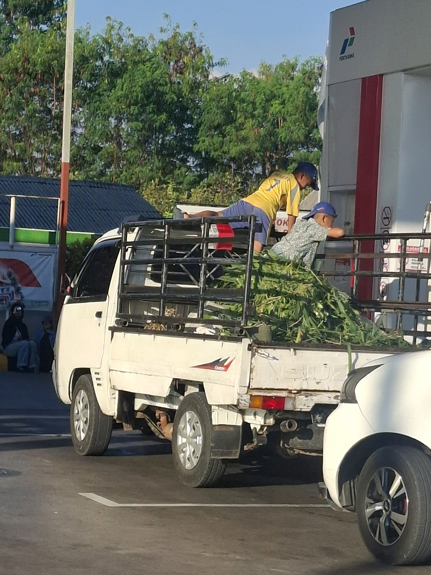 In Sukabumi, Indonesia, a white pickup truck is parked at a Pertamina gas station. The truck bed is loaded with green fodder. Two individuals are on the truck; one in a yellow shirt and blue cap is leaning forward, and the other in a patterned shirt and blue cap is leaning over the side. In the background, trees and a building are visible.