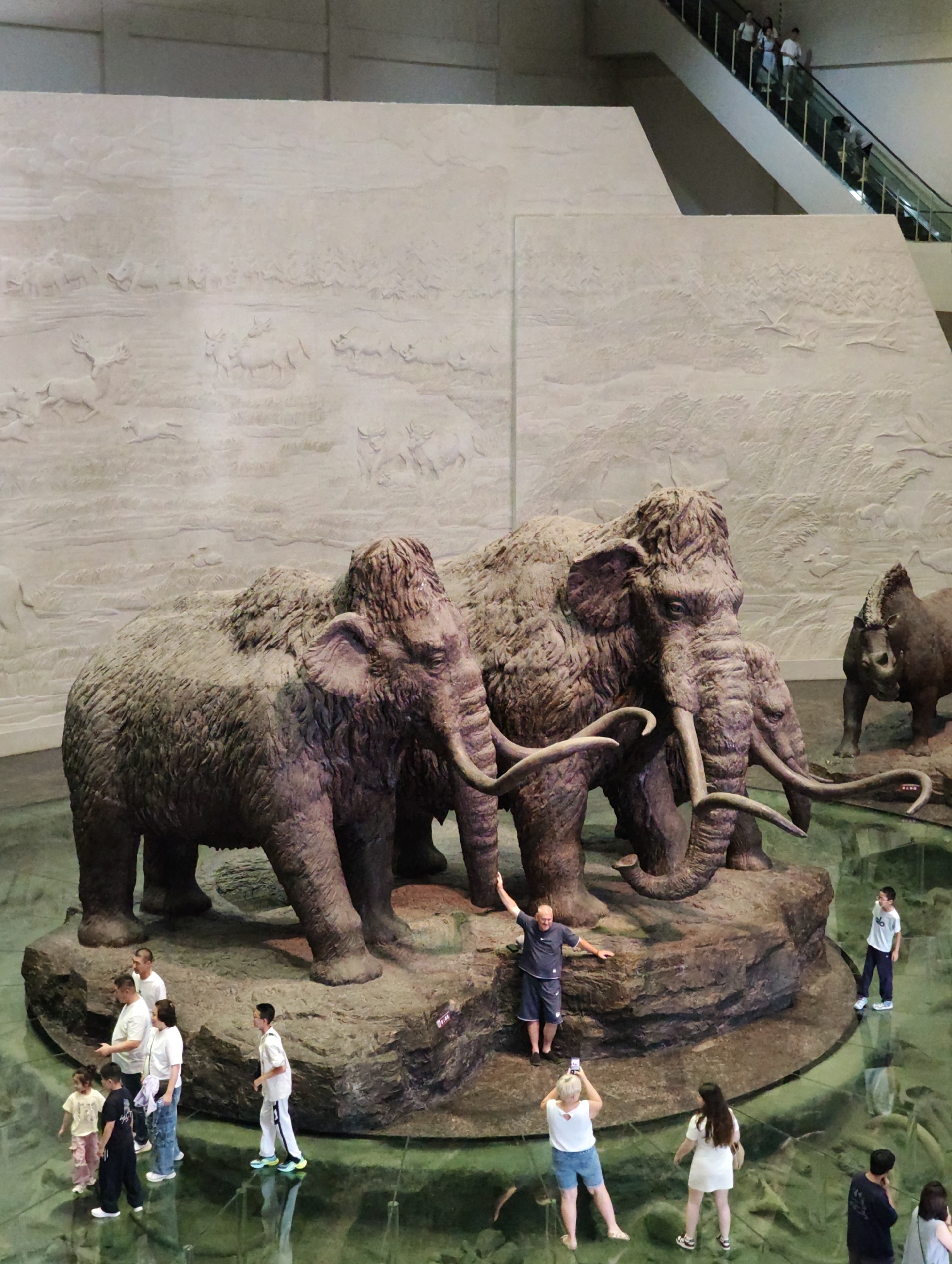 In the city of Longfeng District, China, a museum exhibit features a diorama of prehistoric animals. Two large, furry mammoth sculptures dominate the foreground, posed on a rocky platform surrounded by a shallow pool of water. A third, smaller mammoth-like sculpture is visible in the background to the right, along with a sculpture of a rhinoceros. Behind the animal sculptures, a large wall is adorned with a bas-relief carving depicting a prehistoric landscape with various animals, including deer and other large mammals, and a herd of mammoths. Several people are interacting with the exhibit. In the center foreground, a man in a dark t-shirt and shorts stands on the rocky platform, posing with his arm raised. To his left, a group of people, including children and adults, are observing the mammoths from the edge of the pool. Another man in a white t-shirt and dark shorts is taking a photo with his phone of the man on the platform. In the middle ground, several more individuals are scattered around the pool, some looking at the sculptures, others appearing to pose for photos. In the background, an escalator ascends to a higher level where a few people are visible. The overall environment appears to be a modern museum hall with high ceilings.