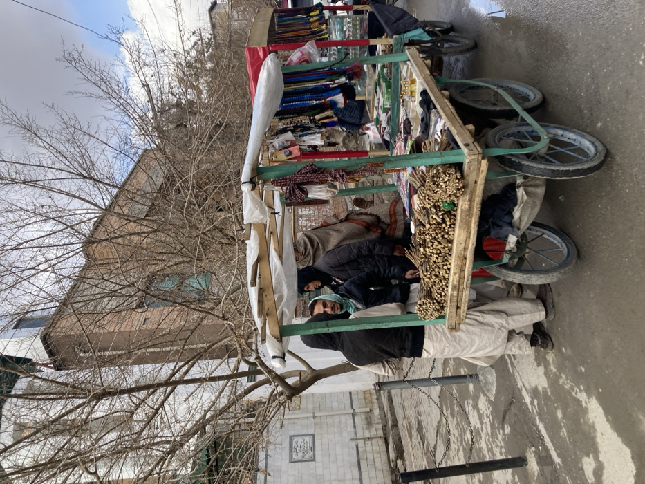 The image depicts an outdoor street scene in Quetta City Tehsil, Pakistan, under a cloudy sky. A green, four-wheeled mobile vending cart, featuring a wooden frame and a partial white plastic canopy, is positioned on a damp, paved surface. The cart functions as a stall, displaying bundles of slender wooden sticks (likely Miswak) on its upper left shelf and various items such as prayer beads, necklaces, and small bottles on its upper right shelf.
Four adult males are present around the cart. On the left side, a man wearing a black sleeveless vest over light-colored traditional attire stands with his back largely facing the viewer. Next to him, a man in a black jacket and a light green head covering faces right. Partially obscured behind the cart are two additional men: one in a dark jacket and another wrapped in a brown shawl-like garment.
In the background, bare deciduous trees partially obscure a multi-story brown brick building. To the far left, a white wall adorned with a rectangular plaque and a metal chain barrier are visible. The ground is a dark, uneven pavement, with visible wet patches and small puddles.