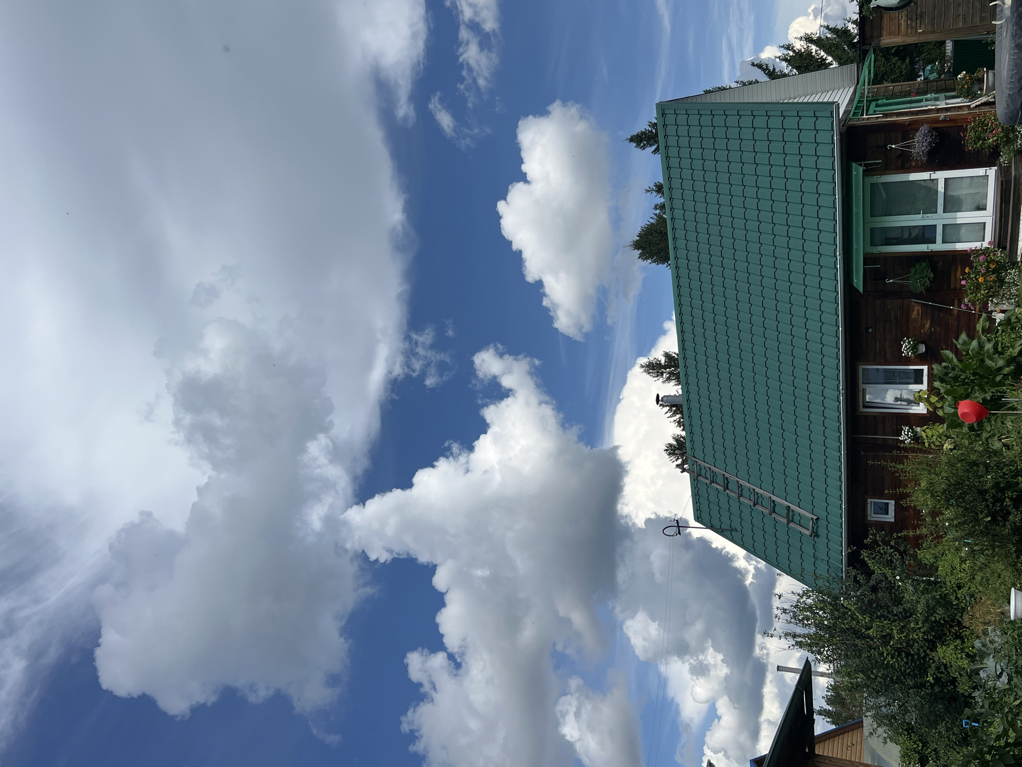 The image captures a wooden house with a green tiled roof in Mochishche, Russia, under a dramatic sky filled with large, white cumulus clouds against a vibrant blue backdrop. A wooden ladder leans against the steep pitch of the roof. The house features several windows, one with white trim and a small flower pot, and a double glass door with a green awning. The facade of the house is made of dark wood planks. Lush green bushes and flowering plants surround the house, with a red balloon-shaped object visible in the foreground. To the left, part of another wooden structure and a greenhouse are visible. Tall evergreen trees are situated behind the house, silhouetted against the sky. The overall impression is that of a rural or suburban residential setting on a bright, cloudy day.