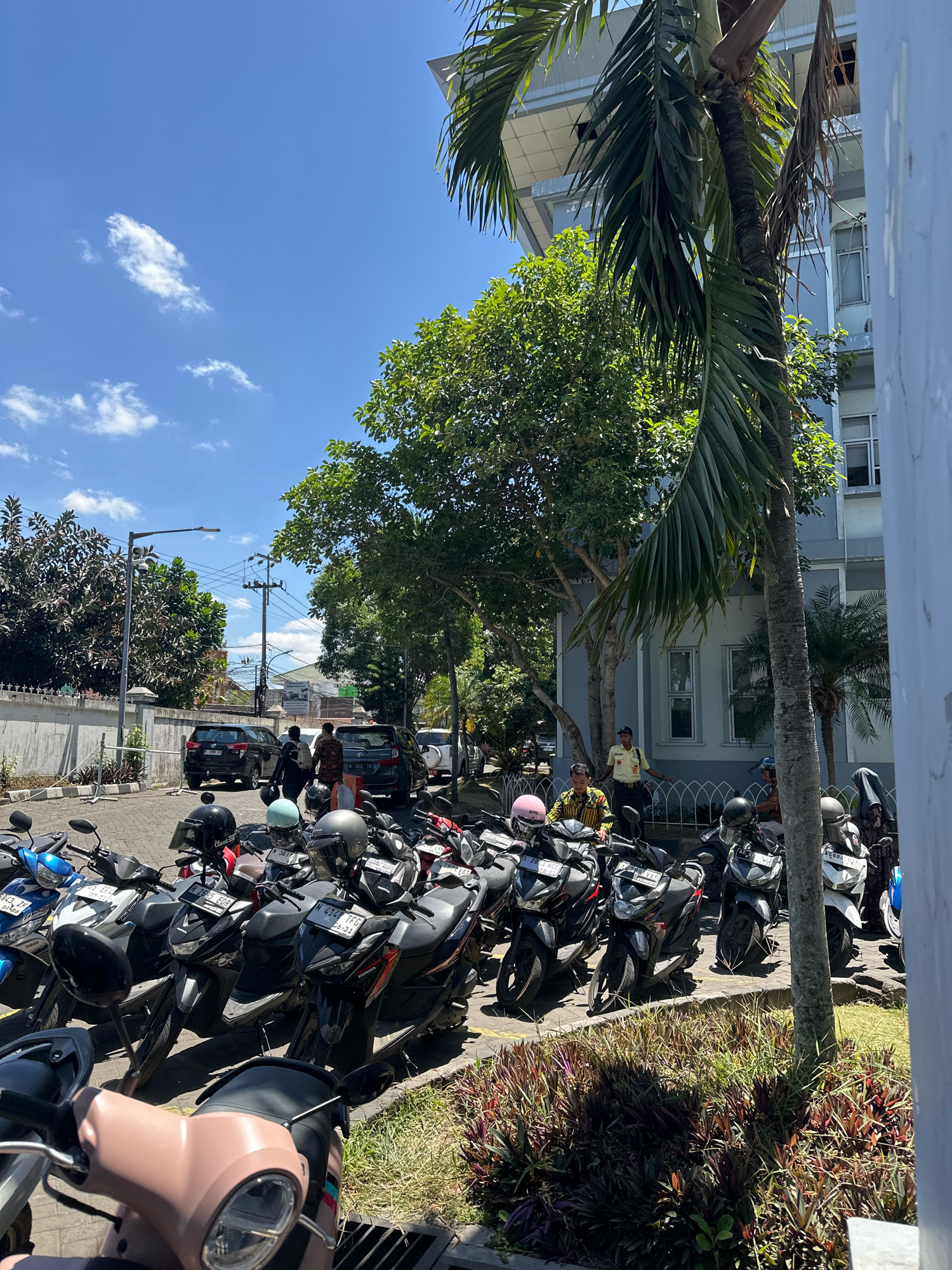 The image depicts a sunny outdoor scene in front of a building, likely an office or educational institution, with a parking area filled with numerous motorcycles. The building is light blue with white trim and features multiple windows. A prominent palm tree stands to the right, partially obscuring the building. The ground is paved, and a patch of green grass and plants with purple leaves is visible in the foreground. Several individuals are present: one person in a yellow shirt stands near the building, and a few others are walking or standing in the parking lot. The motorcycles are parked in rows, with several helmets visible on them. The sky is bright blue with scattered white clouds. The location is identified as the University of Muhammadiyah Malang, East Java, Indonesia.