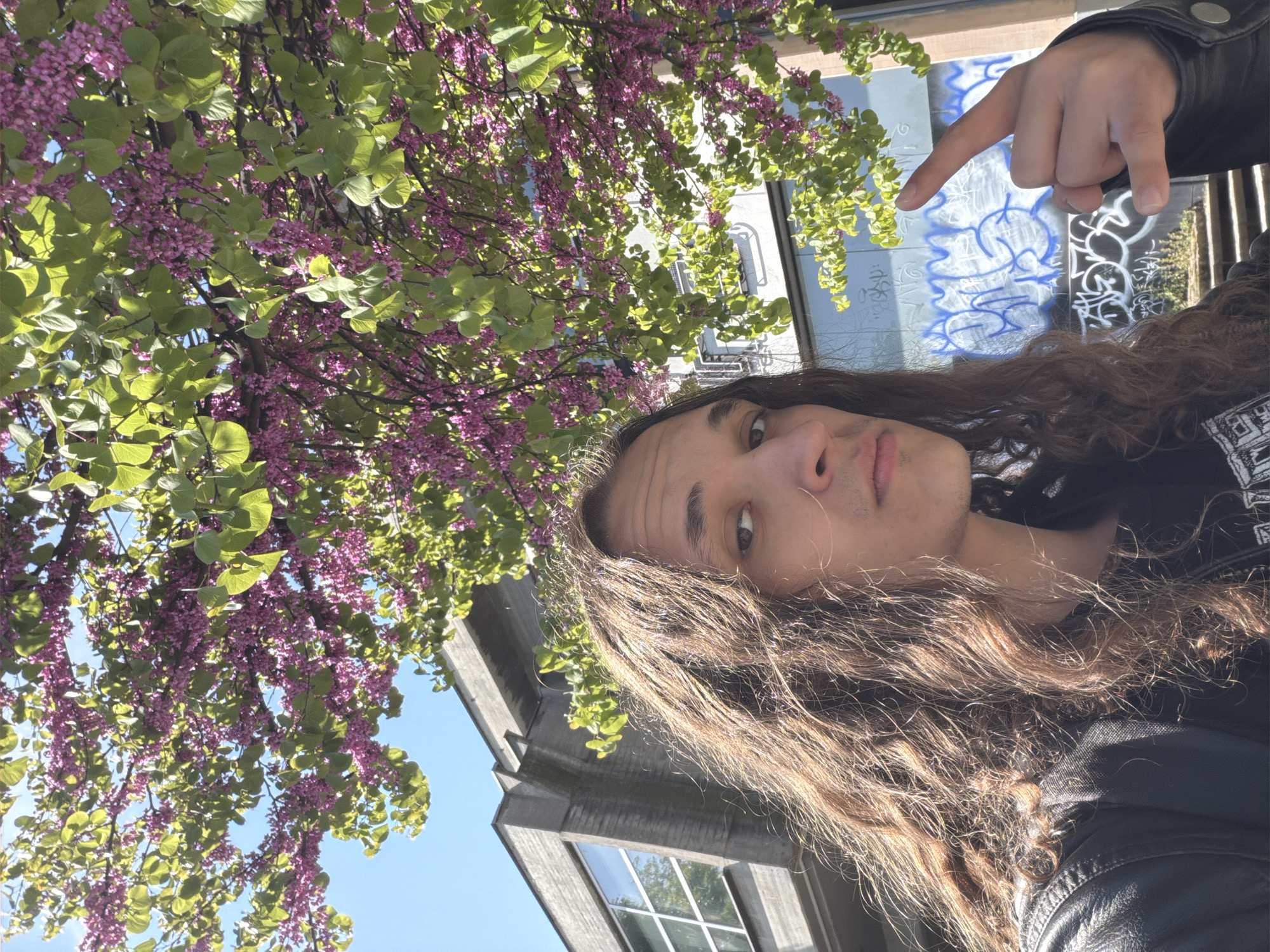 The image, taken in Plovdiv, Bulgaria, captures a bright outdoor selfie featuring a person with long, wavy brown hair, a light complexion, and some facial hair. They wear a black leather jacket over a dark graphic t-shirt. The person's head is tilted, and they look directly towards the camera with a neutral expression. Their right hand is raised and points with the index finger towards the upper background, with a silver ring visible on their pinky finger.
The setting appears to be urban or suburban, under a clear blue sky on a sunny day, likely in spring or early summer, given the flourishing vegetation. A large flowering tree, possibly an Eastern Redbud (*Cercis* species), dominates the left side and upper background. It is densely covered in vibrant purple-pink blossoms and fresh green, heart-shaped leaves, with sunlight filtering through its canopy.
In the background, behind the pointing hand, a light-colored building surface, possibly concrete or stucco, is visible. This surface is marked with graffiti, including a prominent stylized outline or character in blue, along with other unreadable tags in white or silver. Further to the right and below, another part of a building with a large window can be seen. The image is oriented vertically, suggesting it was captured with the camera held horizontally or at an angle.