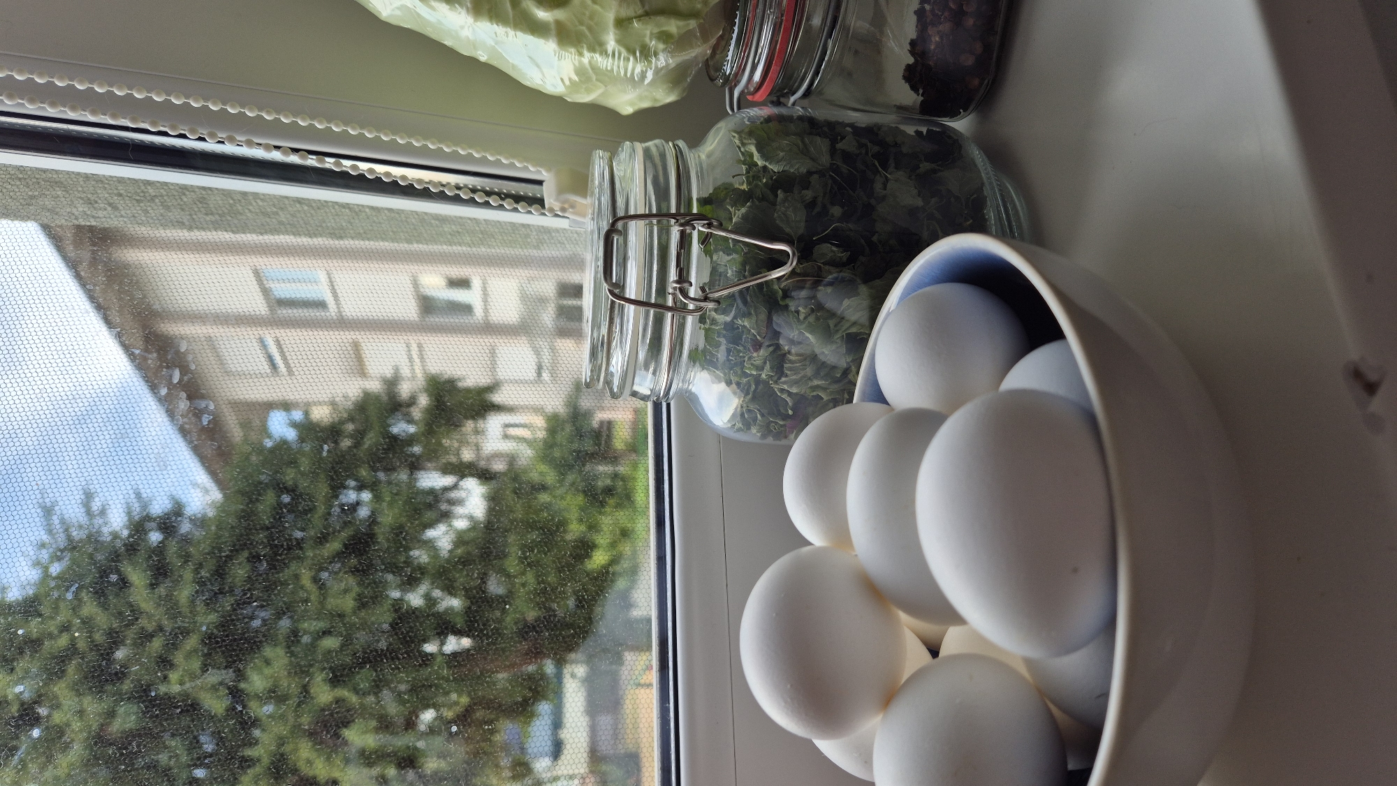 The image shows a collection of white eggs in a light blue and white bowl, placed on a windowsill. To the left of the bowl are two glass jars, one containing dried green herbs and the other seemingly filled with spices or seeds. Behind the jars, a portion of what appears to be a large head of cabbage, wrapped in plastic, is visible.
Through the window, a building with multiple floors and windows can be seen, along with lush green trees. The sky appears to be blue, suggesting it is daytime, likely with good weather. A fine mesh screen is visible on the window. The scene is set indoors, on a windowsill, looking out onto an urban or suburban environment. The lighting suggests daylight, possibly late morning or afternoon, with the sun casting shadows and highlighting the objects on the sill. There are no people or animals visible. The overall impression is one of a domestic setting, with food items and ingredients prepared or stored near a window. The image is oriented vertically.