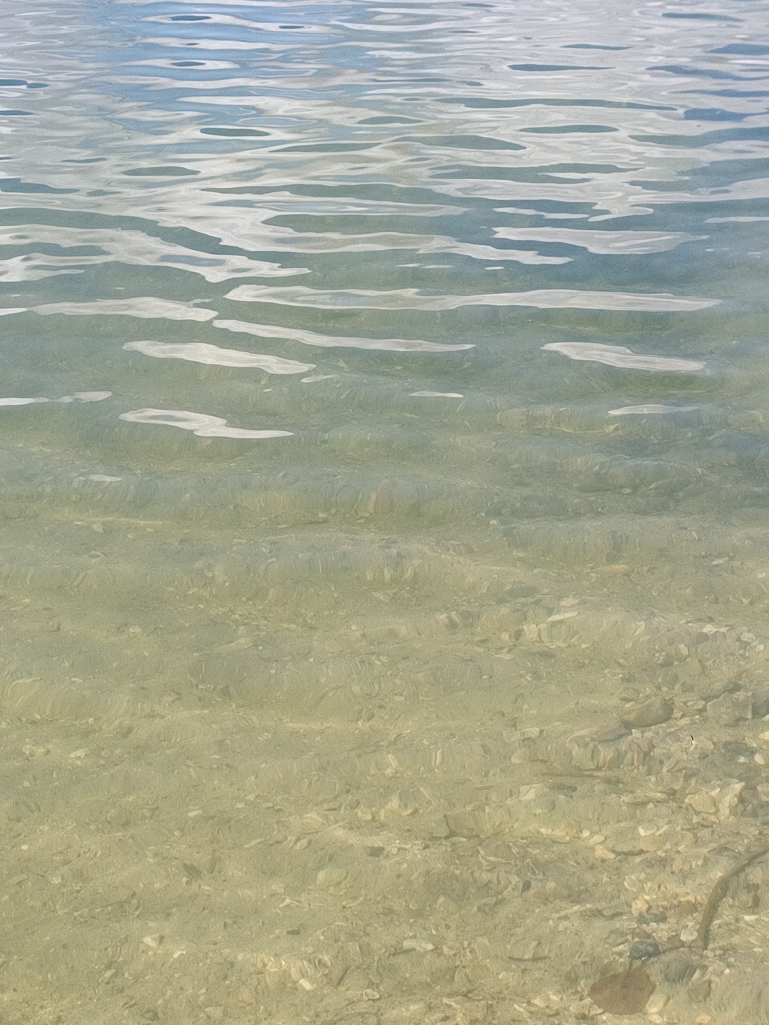 This image depicts a shallow body of water with a visible seabed. The water is clear enough to discern the texture of the bottom, which appears to be composed of sand and small stones or shells. The surface of the water is rippled, creating patterns of light and shadow that suggest gentle movement. The colors are muted, with a palette of pale blues, greens, and earthy tones. There are no people or any discernible structures in the frame. The scene conveys a sense of natural tranquility. The location provided, Le Mesnil-sous-Jumièges, France, suggests this could be a riverbed, a lake, or a shallow coastal area within or near the commune.