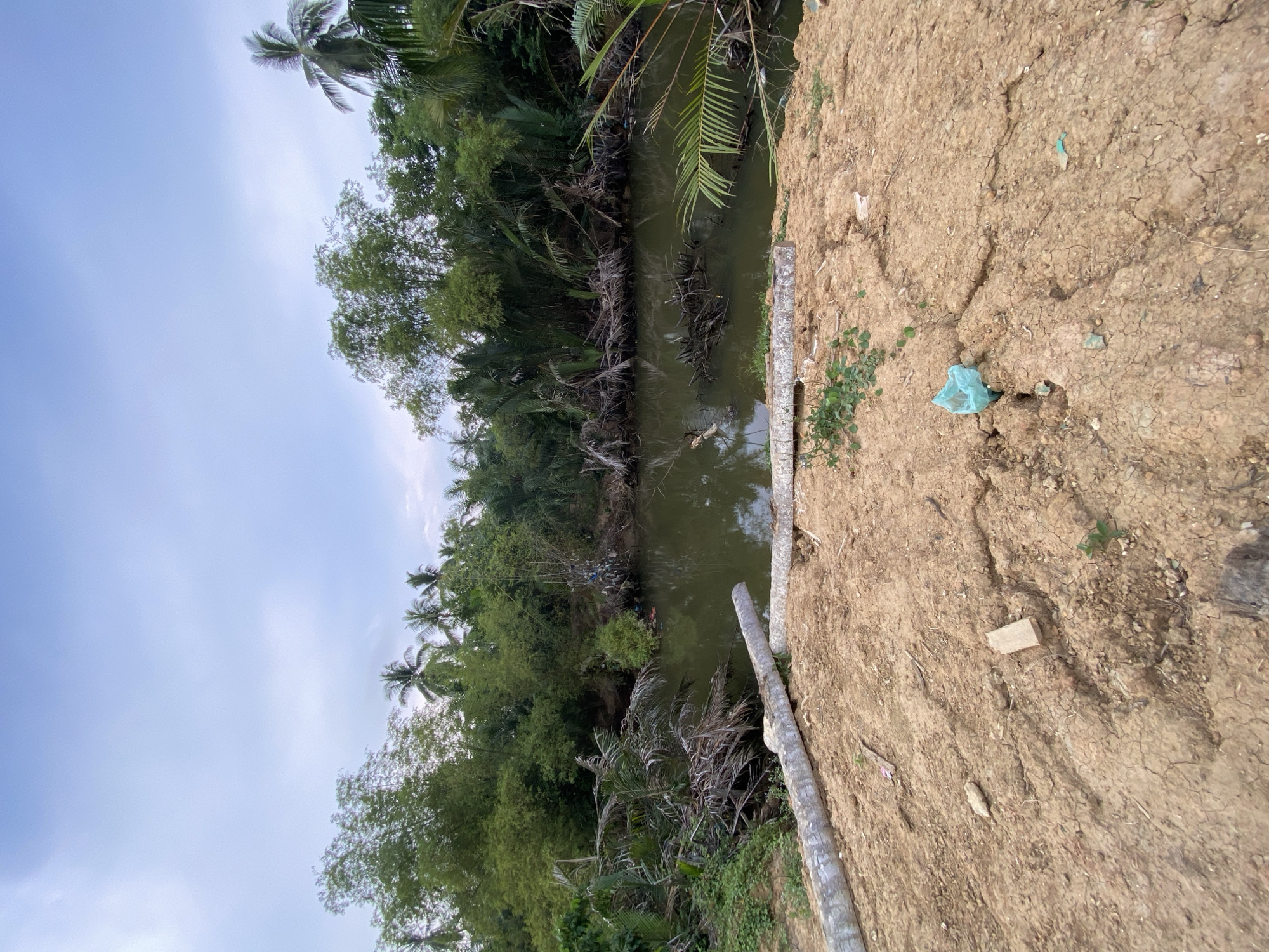 The image depicts a waterway in Tanjongkapai, Indonesia, flanked by lush vegetation on one side and cracked, dry earth on the other. The water is dark, possibly stagnant, with submerged branches and debris visible. The vegetation includes trees, palms, and dense undergrowth. On the earthen bank, trash and small plants are visible. The sky is overcast.