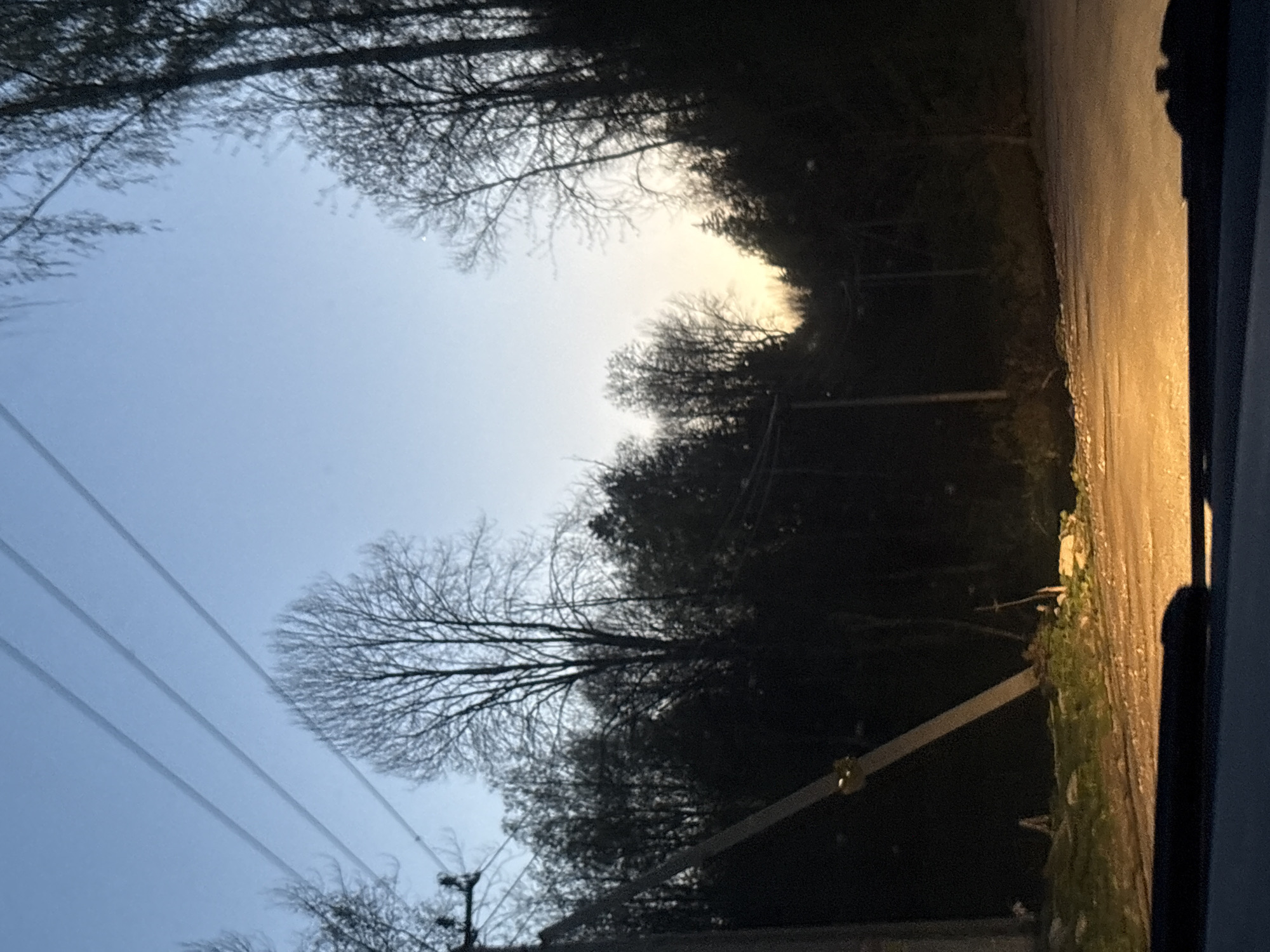 The image shows a road in Rezvykh, Russia at dusk or dawn. On the right side of the frame is a strip of asphalt road surface. Beyond the road, there is a patch of grassy embankment. On the left side of the frame are overhead power lines running across the sky. Trees line both sides of the road, with their branches reaching overhead. The sky is visible between the trees, with a faint light suggesting the sun is either rising or setting. No people are visible in the image.