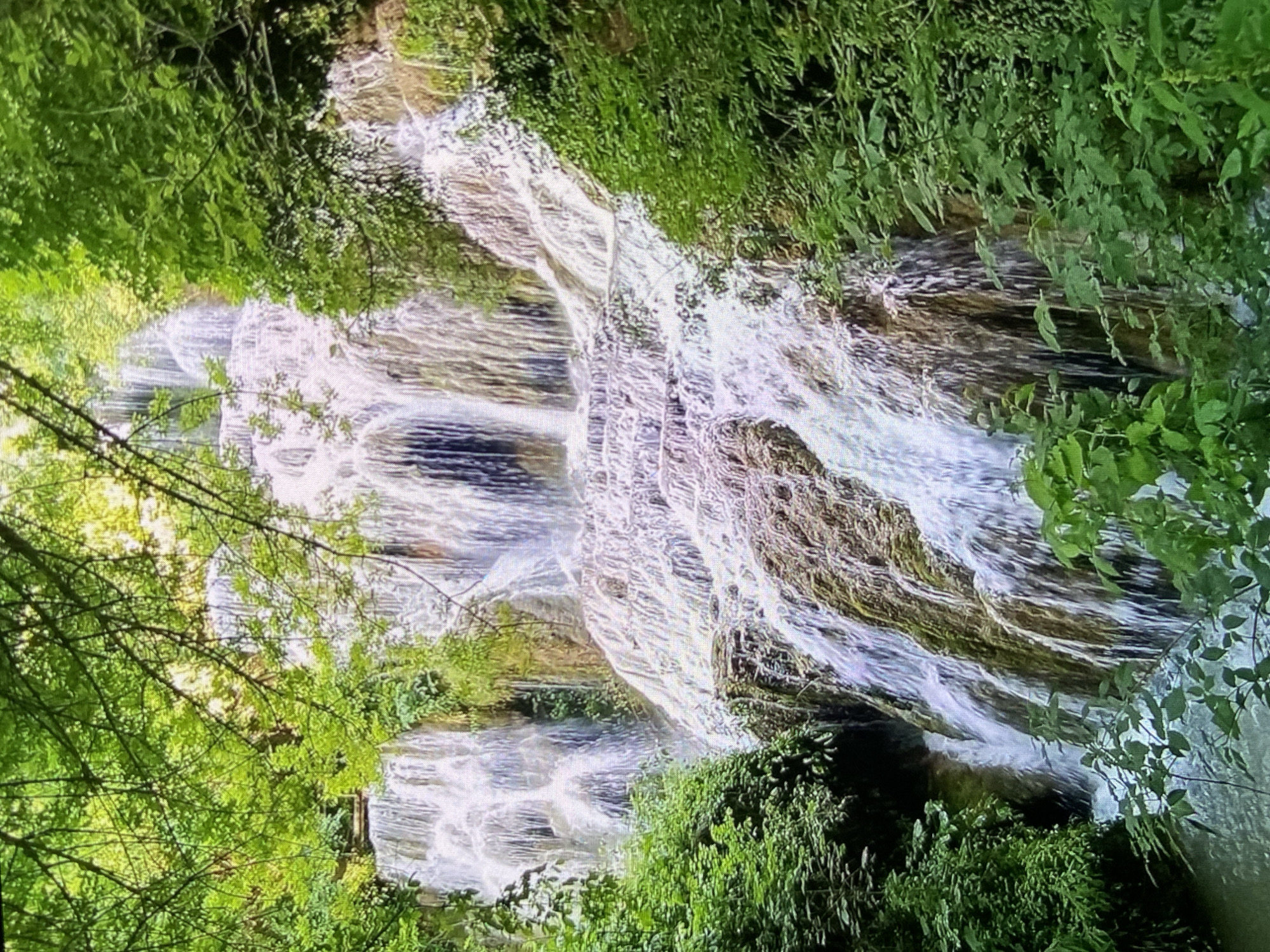 The image displays a vibrant, multi-tiered waterfall cascading down a rocky incline within a lush, natural environment. The water, appearing white and frothy, flows over several ledges and dark rocks, creating a dynamic visual.
The scene is dominated by abundant green foliage. Trees with slender branches and numerous leaves frame the waterfall from the top and sides, particularly on the left. Bushes and ground cover with varying shades of green, from light to dark, also line the rocky banks and foreground, contributing to a dense, verdant atmosphere. Sunlight illuminates the water and greenery, suggesting it is daytime, likely during clear weather. No people or man-made structures are visible, emphasizing the untouched natural beauty of the location.
This natural setting, characterized by flowing water and rich vegetation, is consistent with the landscape often found in areas like Bankya, Bulgaria, which is known for its natural springs and scenic surroundings. The image captures a serene and refreshing moment in nature. There is no visible text.