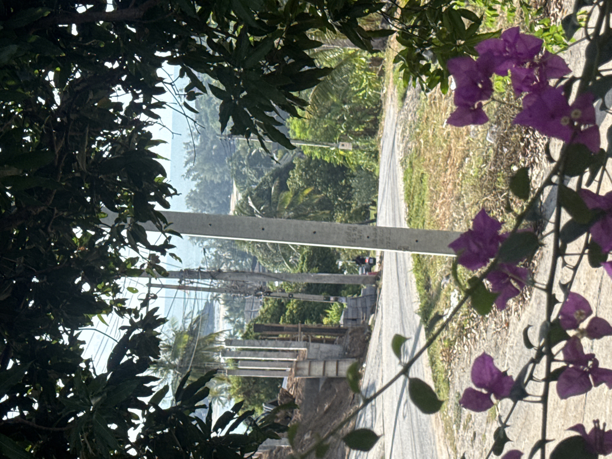 The image shows a view of a street winding through a tropical landscape. In the foreground, purple bougainvillea flowers with green leaves are partially obscuring the view. A paved road curves to the right, with a rougher, dirt embankment on the left side of the road, where construction pillars are visible. Beyond the road, a lush green forest fills the midground, with palm trees and other tropical vegetation. In the distance, the ocean is visible, meeting a hazy horizon. Utility poles with power lines are scattered throughout the scene, and a single motorbike is parked on the side of the road. The scene appears to be a sunny day, with clear skies and bright lighting. The location is described as "Unknown, Unknown".