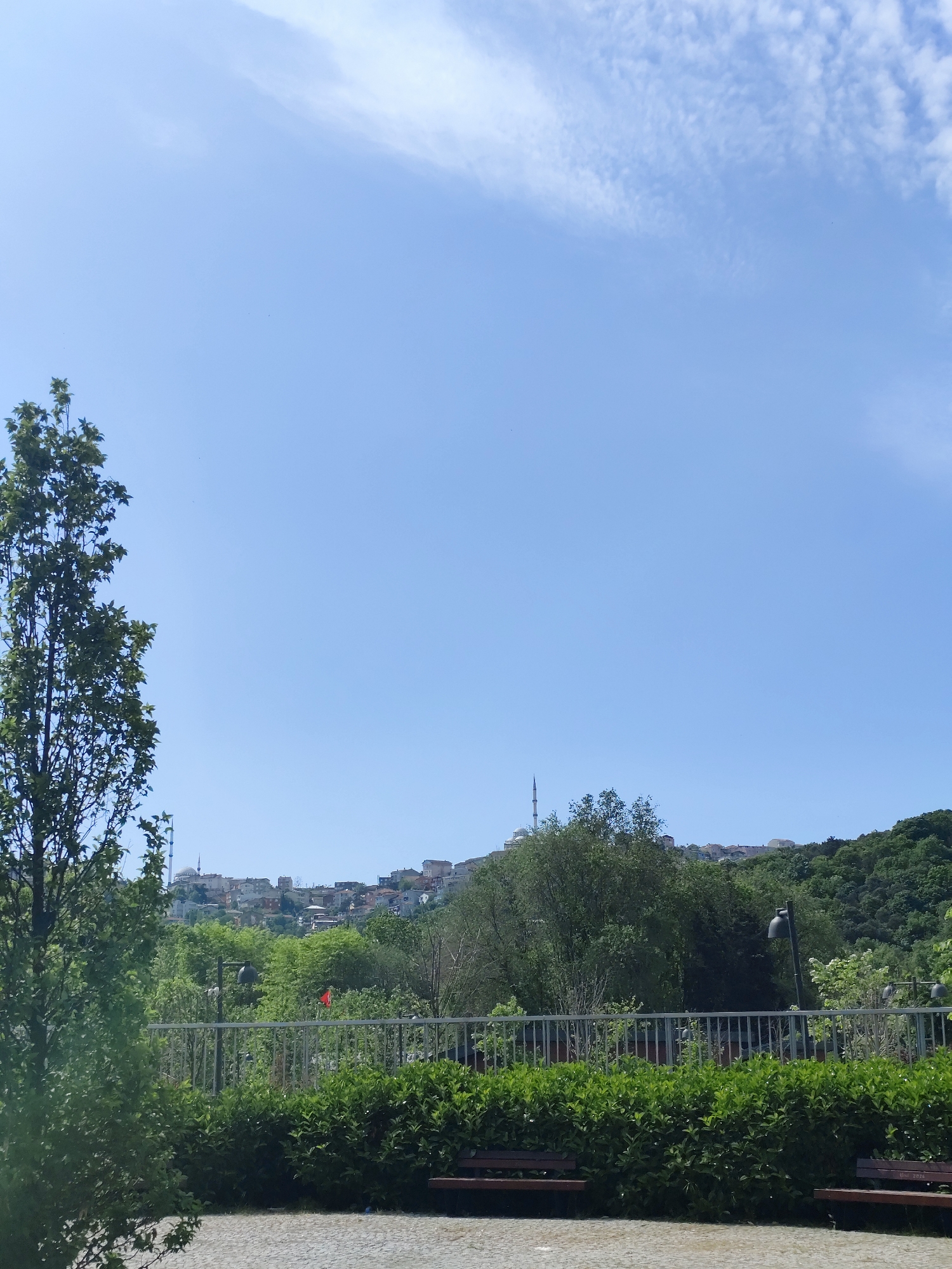 A daytime view from what appears to be a park or viewing area, likely in Sarıyer, Turkey, reveals a cityscape beyond lush greenery. In the foreground, a low hedge borders a pedestrian walkway or park area, with park benches partially visible. A metal railing or fence separates the foreground from a wooded area with trees of varying sizes. Beyond the trees, the skyline is punctuated by buildings and a mosque minaret. The sky is a clear blue with wispy clouds. A tall, slender tree stands to the left, framing the view.