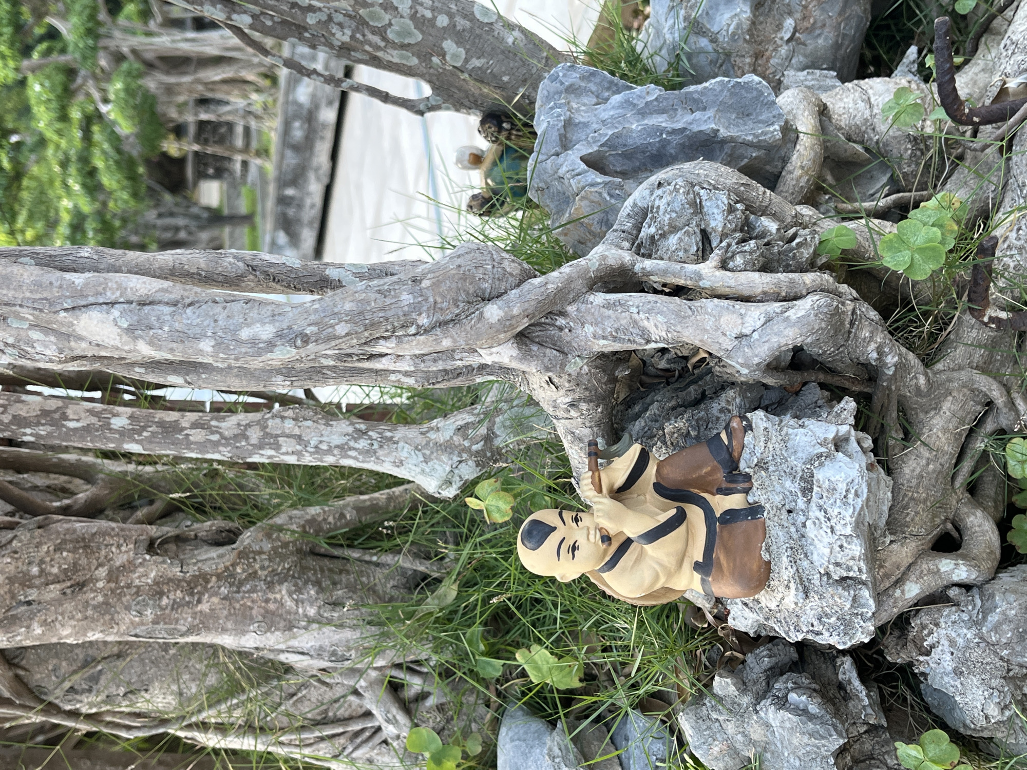 The image captures a scene featuring a small monk figurine nestled among rocks and intertwined tree roots. Green grass and clover are visible, growing between the stones and roots. The setting appears to be outdoors, possibly a garden or natural area. While the exact location cannot be determined from the image, the prompt suggests Đà Nẵng, Vietnam. Without further information, no people, specific actions, or interactions are visible. The primary objects are the monk figurine, rocks, tree roots, and vegetation.