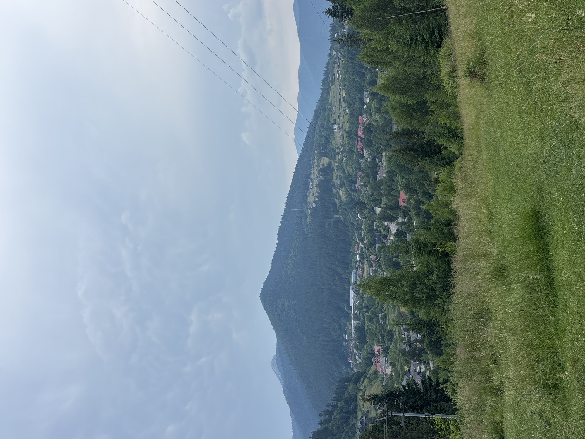 This media file captures a mountainous scene in Tatariv, Ukraine, likely during daytime with fair weather. The dominant subjects are the lush green mountainside, a village nestled into the slopes, and a vast expanse of sky. In the foreground, tall, wild grass with some wildflowers dominates the right side of the frame. Behind this grassy area, a dense forest of evergreen trees lines the mountain.
The village is spread across the middle ground, characterized by numerous houses with red tile roofs, interspersed with more trees. A network of power lines, supported by poles, stretches across the scene, suggesting a connection to civilization. In the far distance, layers of hazy blue mountains recede, creating a sense of depth and vastness.
The sky is a pale blue with scattered, wispy white clouds. The lighting suggests it is likely mid-morning or early afternoon. The overall impression is one of a serene, rural landscape, perhaps a view from a higher vantage point looking down upon a peaceful community integrated with nature. There is no visible text within the image.