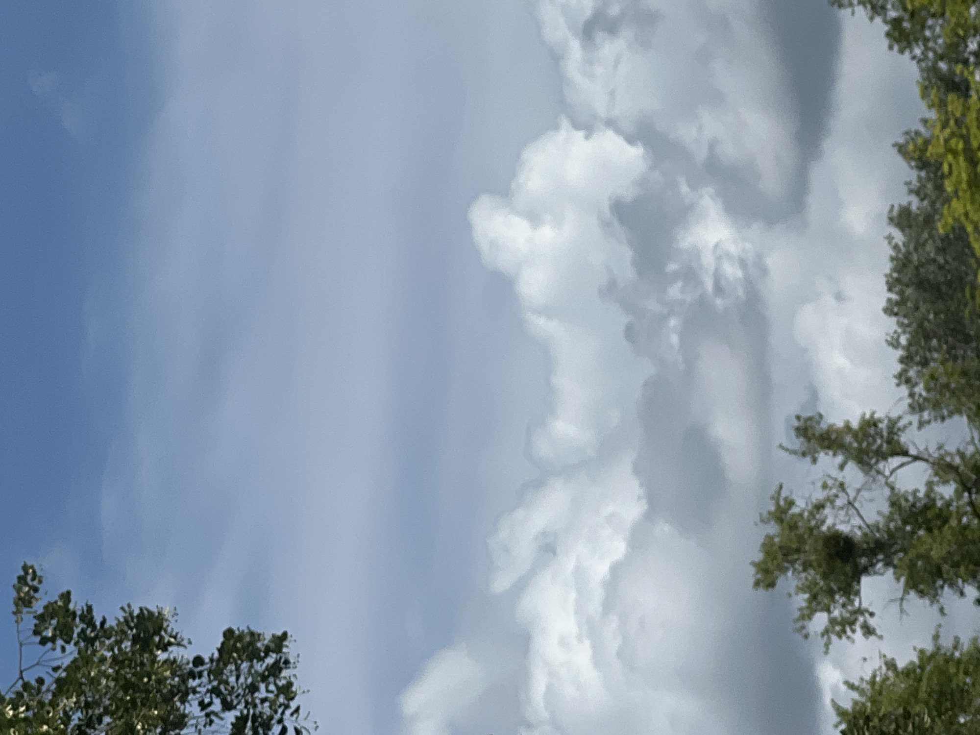 The image is a photograph of a partly cloudy sky taken from an outdoor location. In the foreground, the tops of several green trees are visible, with their branches extending upwards into the frame. The sky above is a mix of blue and white, with large, fluffy white clouds interspersed with darker, grey clouds, suggesting an overcast or partly sunny day. The lighting is diffused, indicating it is likely daytime. The scene appears to be natural and serene, without any visible man-made structures or individuals. No specific location in Warsaw, Poland, can be identified from the visual information provided.