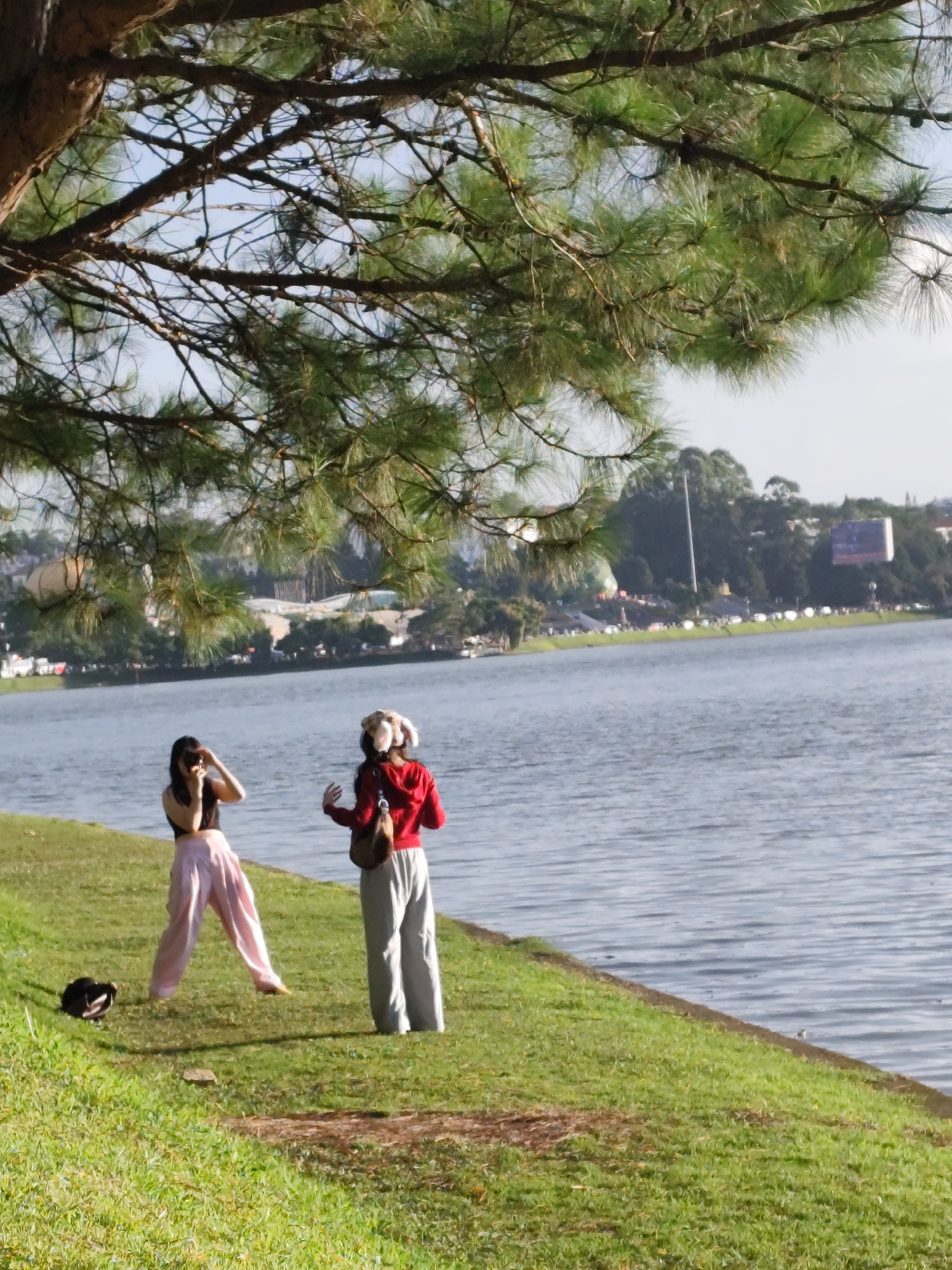 Two individuals are standing on the grassy bank of Xuan Huong Lake in Da Lat, Vietnam. The person on the left, wearing a black top and light pink wide-leg pants, is holding a phone and appears to be taking a photo. The person on the right, in a red hoodie and grey pants, is holding a bag over their shoulder and has their arms raised, as if gesturing or posing. A black bag rests on the grass near the person on the left. The lake is calm, reflecting the sky. In the background, across the lake, a cityscape with buildings and trees is visible, with a bright sky overhead. The foreground is dominated by the lush green grass and the branches of a large pine tree.