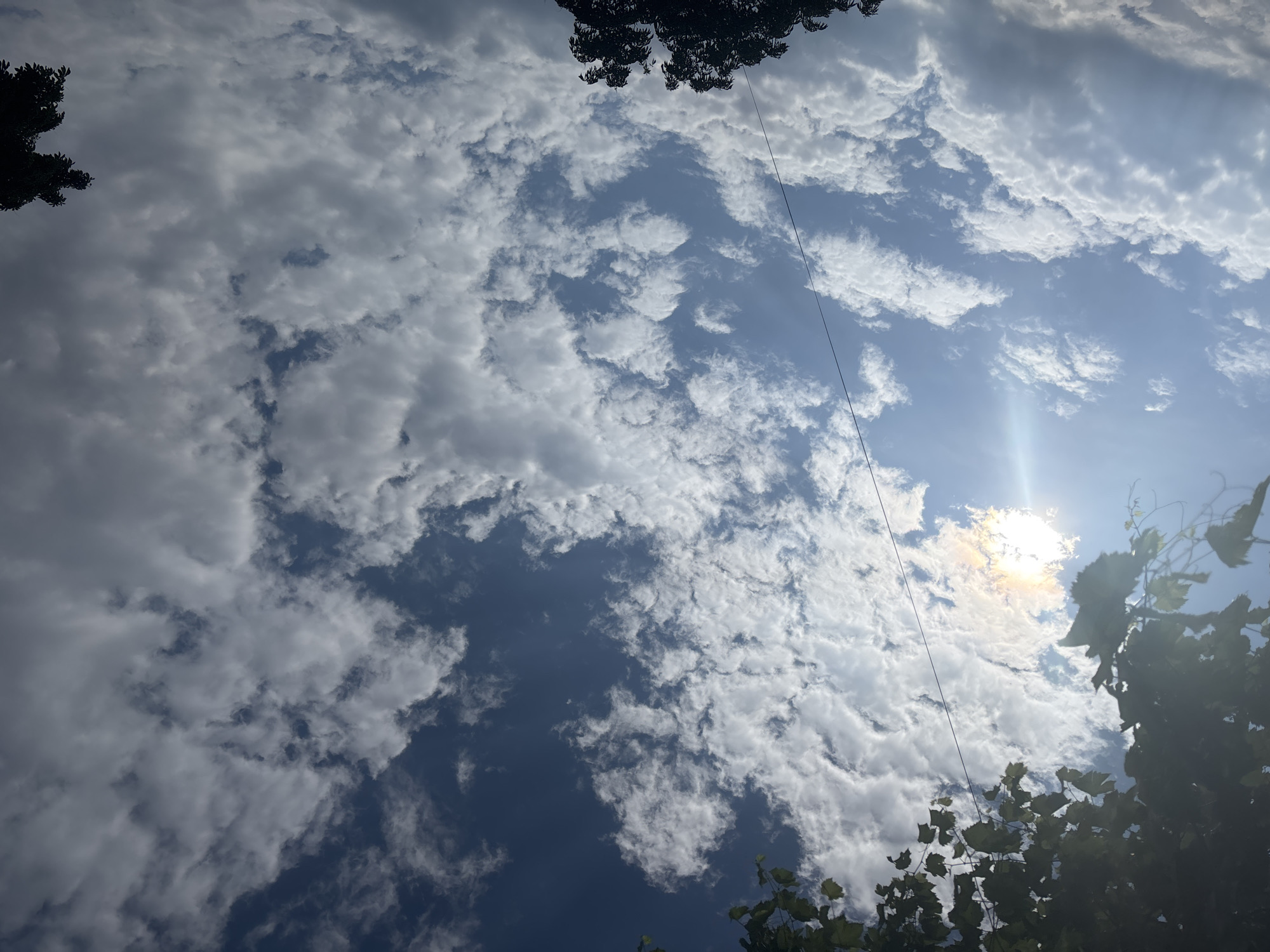 An outdoor, low-angle shot showcases a vibrant blue sky filled with a variety of clouds, ranging from wispy cirrus formations to larger, more dense cumulus clouds. The sun is visible, peeking through a cluster of clouds on the left side of the frame, casting a bright lens flare and illuminating the sky. Silhouetted against the bright sky at the bottom of the frame are the tops of several trees. A thin, dark wire runs diagonally across the sky from the upper left to the middle right. The image is cropped to focus on the sky and upper portions of the trees.