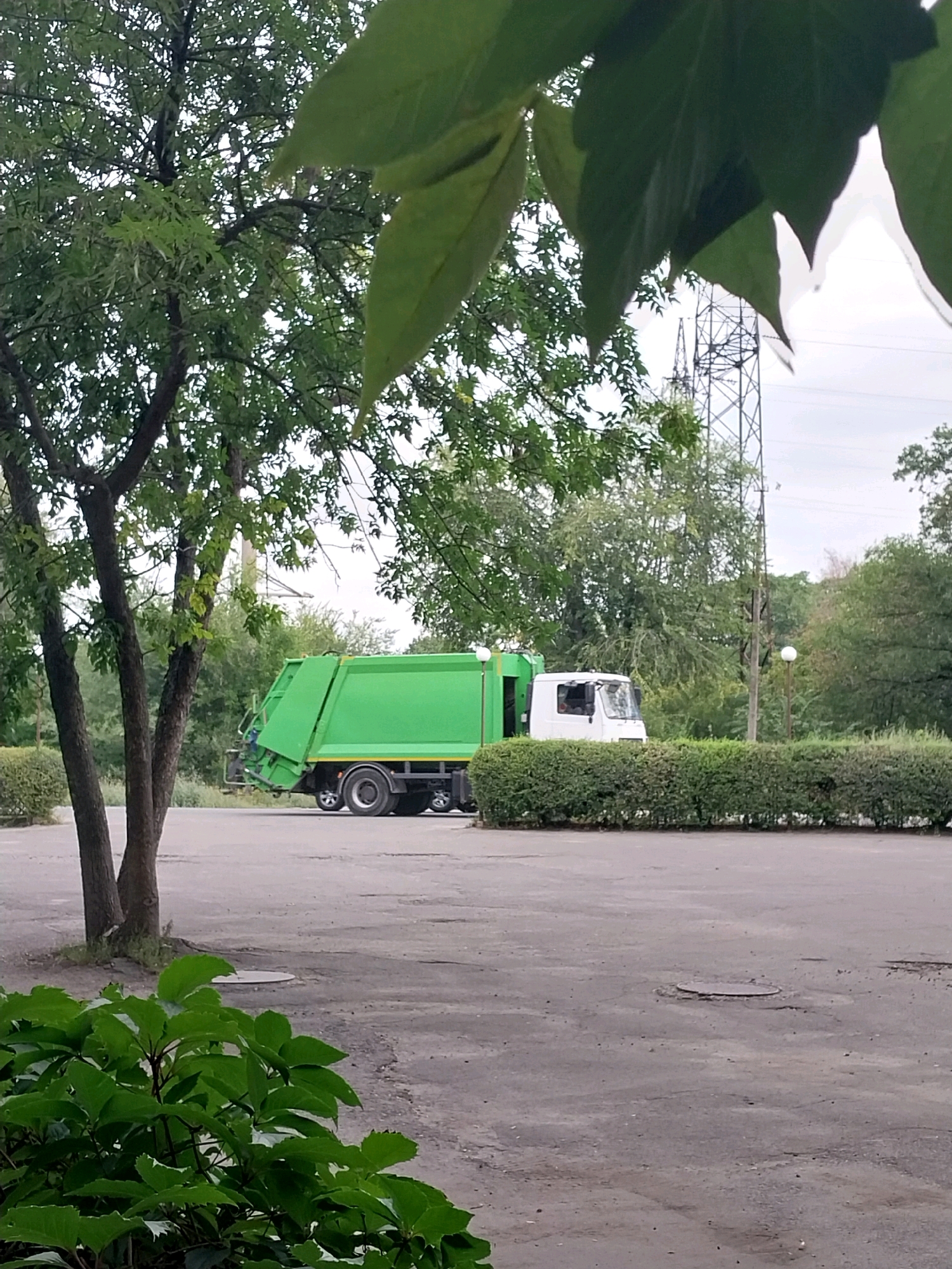 A green garbage truck is parked on a paved surface, possibly a parking lot or industrial area, in Dnipro, Ukraine. The truck is white and green, with the front cab being white and the rear refuse body being green. The truck is parked behind a manicured hedge that runs horizontally across the middle of the frame. In the foreground, green foliage from a tree or bush partially obscures the bottom of the image. In the background, there are more trees and a tall electrical pylon. The sky is overcast.