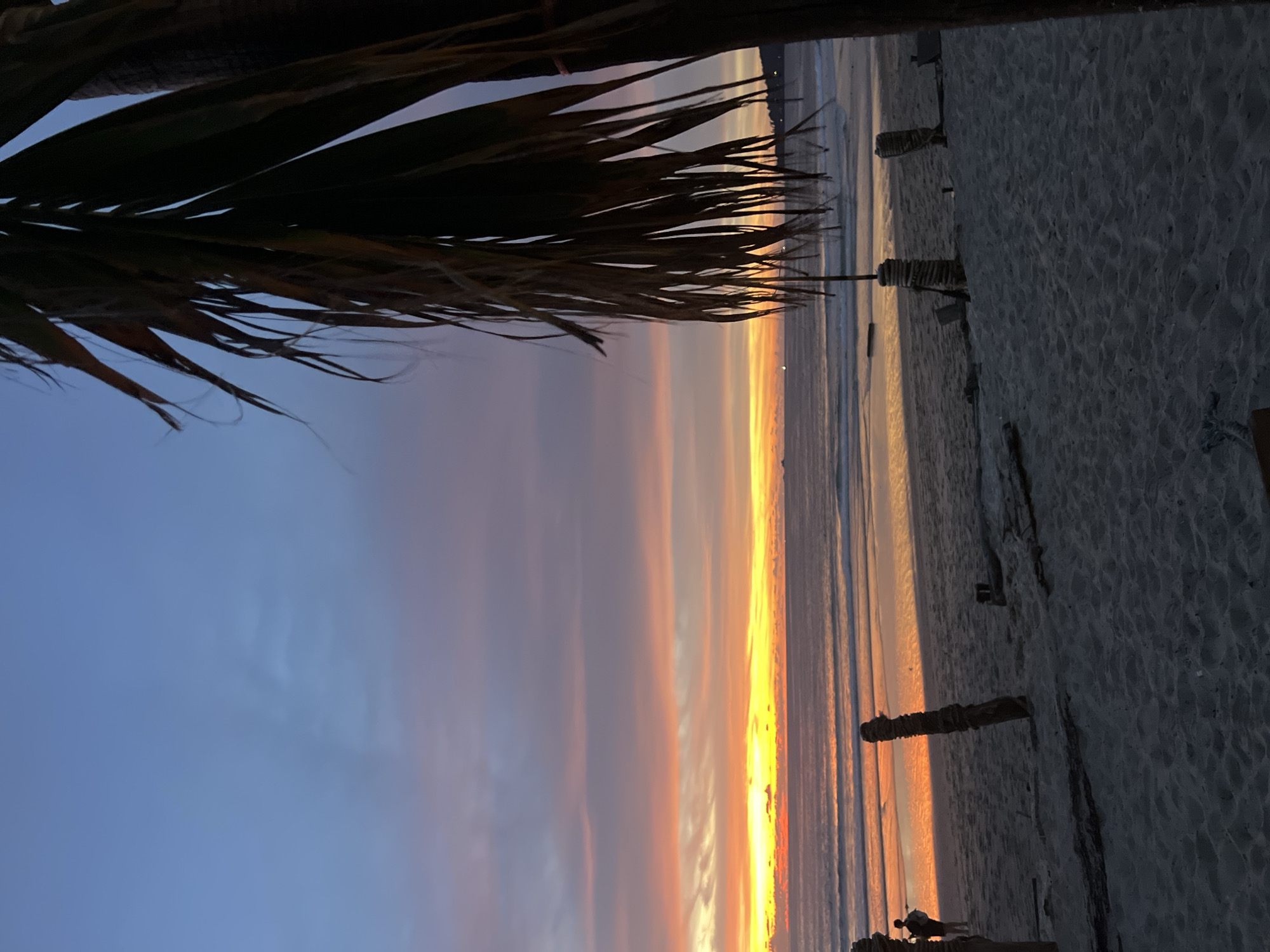 A beach scene at sunset is depicted, with the sky displaying a gradient of blue, purple, and orange hues. The ocean is calm, with gentle waves washing ashore. In the foreground, a sandy beach is visible, with some weathered wooden posts and debris scattered about. A silhouette of a person can be seen walking on the beach in the distance. A palm frond hangs in the upper right corner of the image, obscuring part of the sky. The lighting suggests it is late evening or early morning, with the sun low on the horizon.