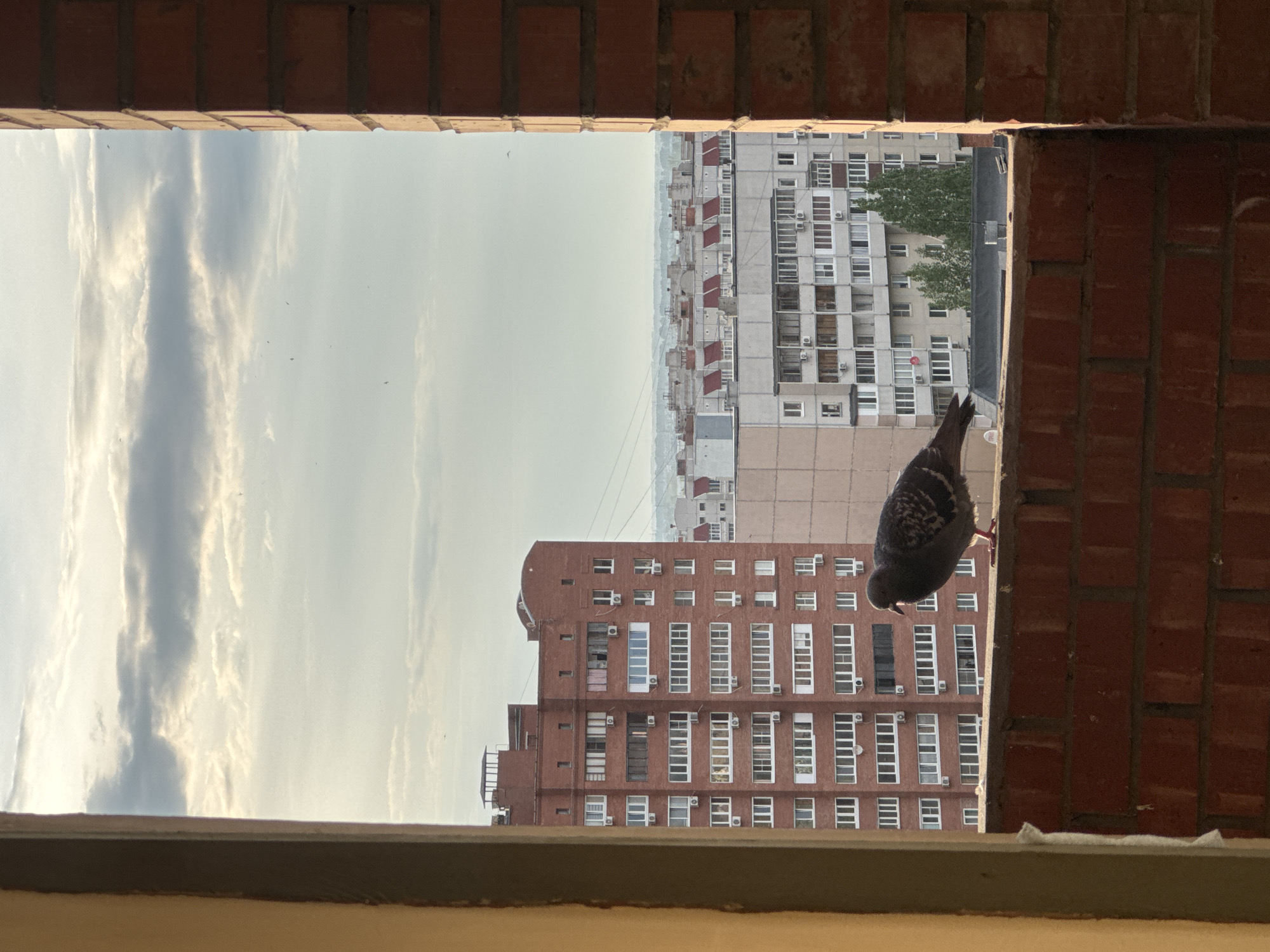 A pigeon is perched on a brick windowsill, framed by a brick structure, overlooking a cityscape. The sky is cloudy. The buildings in the cityscape are varied in height and color, some with visible windows and air conditioning units. The location is in the city of Unknown, Unknown.