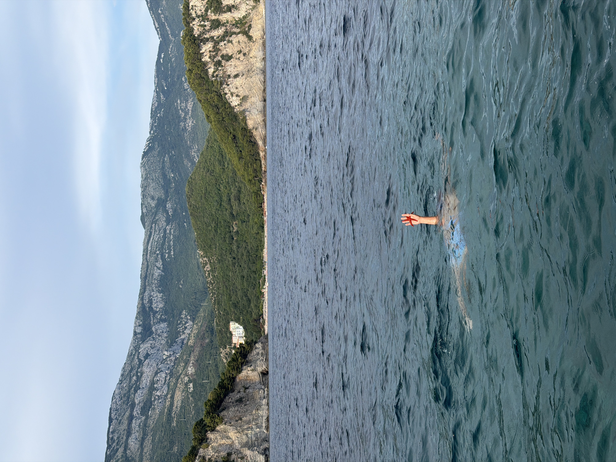 The image captures a split view of a person swimming in the sea next to a mountainous coastline. The left side of the frame shows a steep, verdant mountain range with rocky outcrops and scattered buildings nestled on its slopes. The sea, on the right, is a deep blue with visible ripples and waves, suggesting a dynamic body of water.
A person is partially submerged in the sea, with their arm extended out of the water. They are wearing blue swimwear. The hand, prominently visible, is holding a red starfish. The composition divides the scene into land and sea, creating a juxtaposition between the solid, imposing mountains and the fluid, inviting water.
The lighting suggests it is daytime, likely late afternoon or early evening given the soft light illuminating the mountains. The sky is clear and pale blue, indicating fair weather. The presence of buildings on the hillside hints at a populated area near the coast. The overall mood is serene and adventurous, showcasing a moment of interaction with nature.
The scene is set in Petrovac na Moru, Montenegro, which is known for its dramatic coastline and clear waters. No visible text is present in the image.