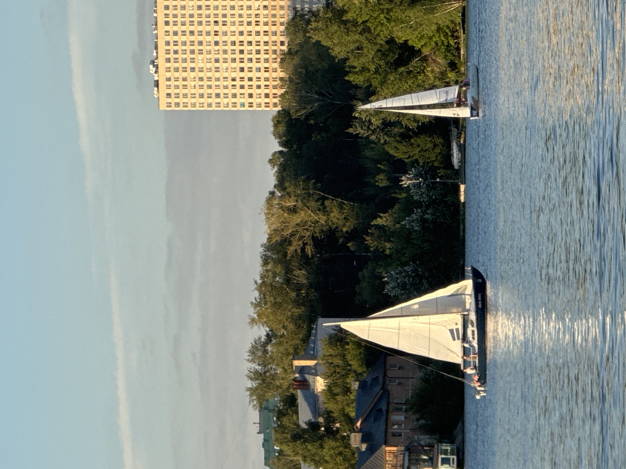 This is a full-frame, eye-level, medium shot of a body of water with two sailboats. In the background, there is a dense line of trees, followed by a multi-story building with numerous windows. To the left, there are several houses. The sky is clear with some faint clouds. The water is rippled, reflecting the sunlight.
The sailboat on the left is closer to the camera and is dark blue with a white sail. There are at least two people visible on deck. The sailboat on the right is further away and is white with a white sail, and has the number "16" visible on its hull.
The overall scene depicts a serene summer day on the water, likely in the city of Khimki, Russia, given the context. The architecture of the buildings suggests a mix of older residential structures and a more modern high-rise. The presence of sailboats indicates recreational activity on the water.