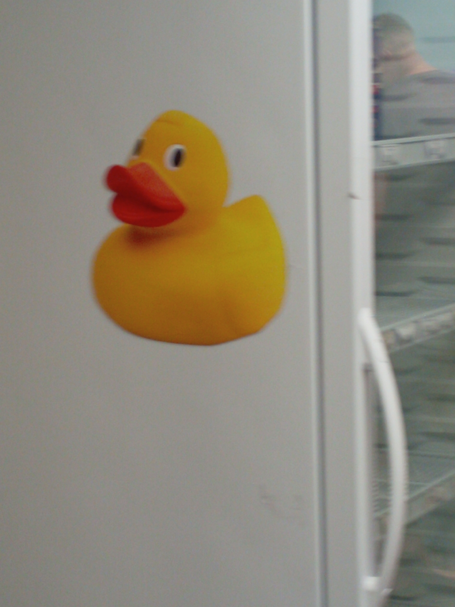 A yellow rubber duck with a red beak and a black eye is stuck to a white refrigerator door. Through the door, a person and several shelves of items are visible.