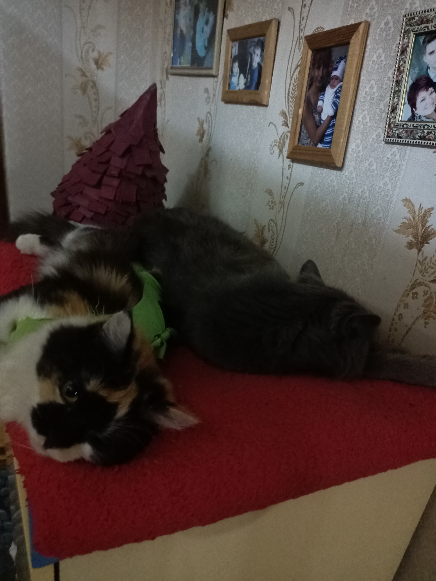 Memory