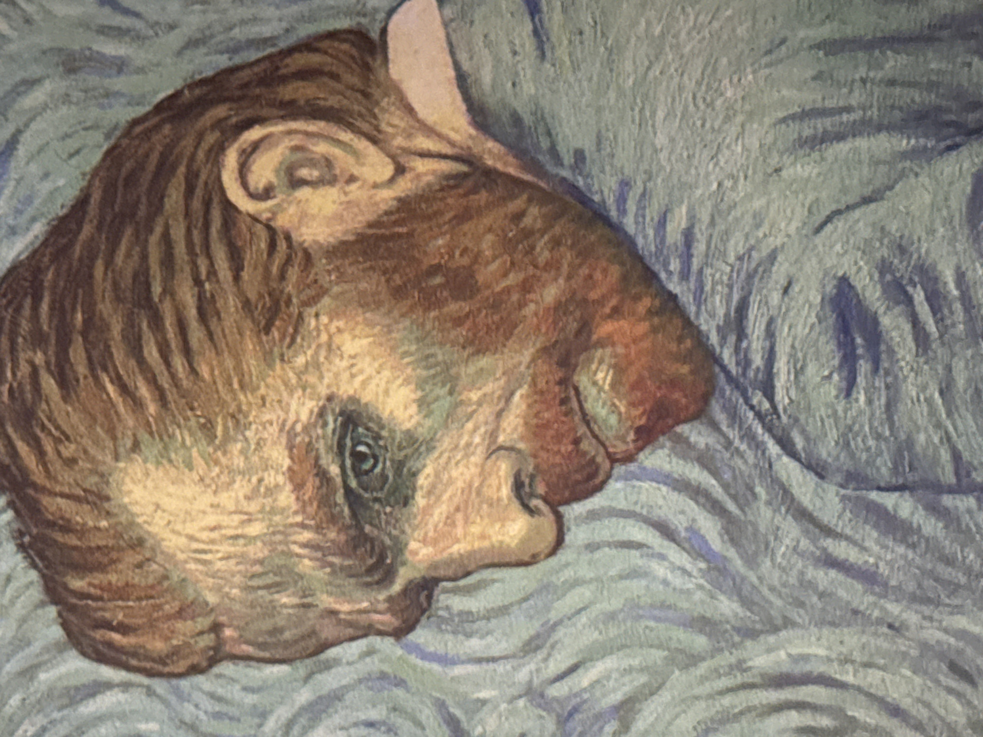 This is a close-up of a painting depicting the head of a man lying on a surface with wavy, blue-grey patterns. The man is depicted in profile, facing left. His hair is short and brown, with brushstrokes indicating texture. He has a prominent nose, a closed mouth, and a single visible eye with a dark pupil. The skin appears to be a light, warm tone, with areas of shading to define the facial structure. The background is a textured surface with a pale blue-grey color, rendered with curved, wave-like brushstrokes.
There is no evidence of Puebla, Mexico.