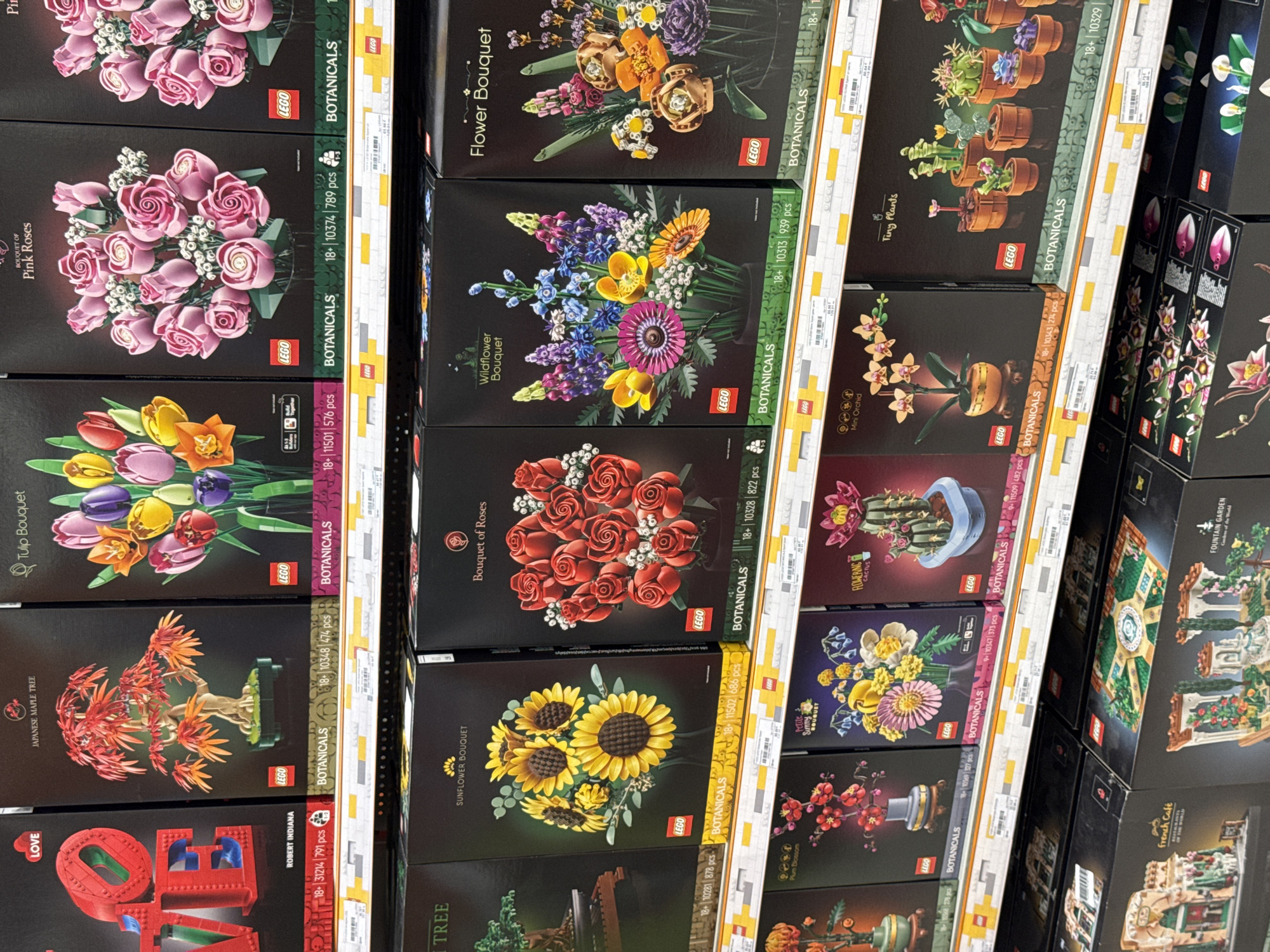 The image captures a retail store aisle in Sofia, Bulgaria, showcasing a wide array of LEGO sets, predominantly from the LEGO Botanical Collection. No people are visible in the scene, which features products neatly arranged on bright white shelves with yellow and white support structures.
The shelves are filled with dark-colored LEGO boxes displaying vibrant, constructed plant and flower models. Prominently featured botanical sets include "Bouquet of Pink Roses" (18+, 10374, 789 pcs), "Tulip Bouquet" (18+, 11501, 576 pcs), "Japanese Maple Tree" (18+, 10348, 474 pcs), "Wildflower Bouquet" (18+, 10313, 939 pcs), "Bouquet of Roses" (18+, 10328, 822 pcs), "Sunflower Bouquet" (18+, 11502, 686 pcs), "Petite Sunny Bouquet" (9+, 10347, 373 pcs), "Flowering Cactus" (9+, 11509, 482 pcs), "Mini Orchid" (18+, 10343, 274 pcs), and "Tiny Plants" (18+, 10329).
Alongside the botanical sets, a "LOVE ROBERT INDIANA" (18+, 31214, 791 pcs) set is visible, depicting the famous sculpture. Partially seen boxes further down the aisle suggest other themes, including "French Café" and "Fountain Garden."
Notable details include the bright, uniform indoor lighting common in retail environments. Each set's box displays the "LEGO" logo, "BOTANICALS" branding (where applicable), age recommendations (18+ or 9+), set numbers, and piece counts. Barcode stickers with pricing information are visible on the shelf edges, indicating an active shopping inventory. The sets are stacked both horizontally and vertically, optimizing shelf space and creating a dense display for customers.