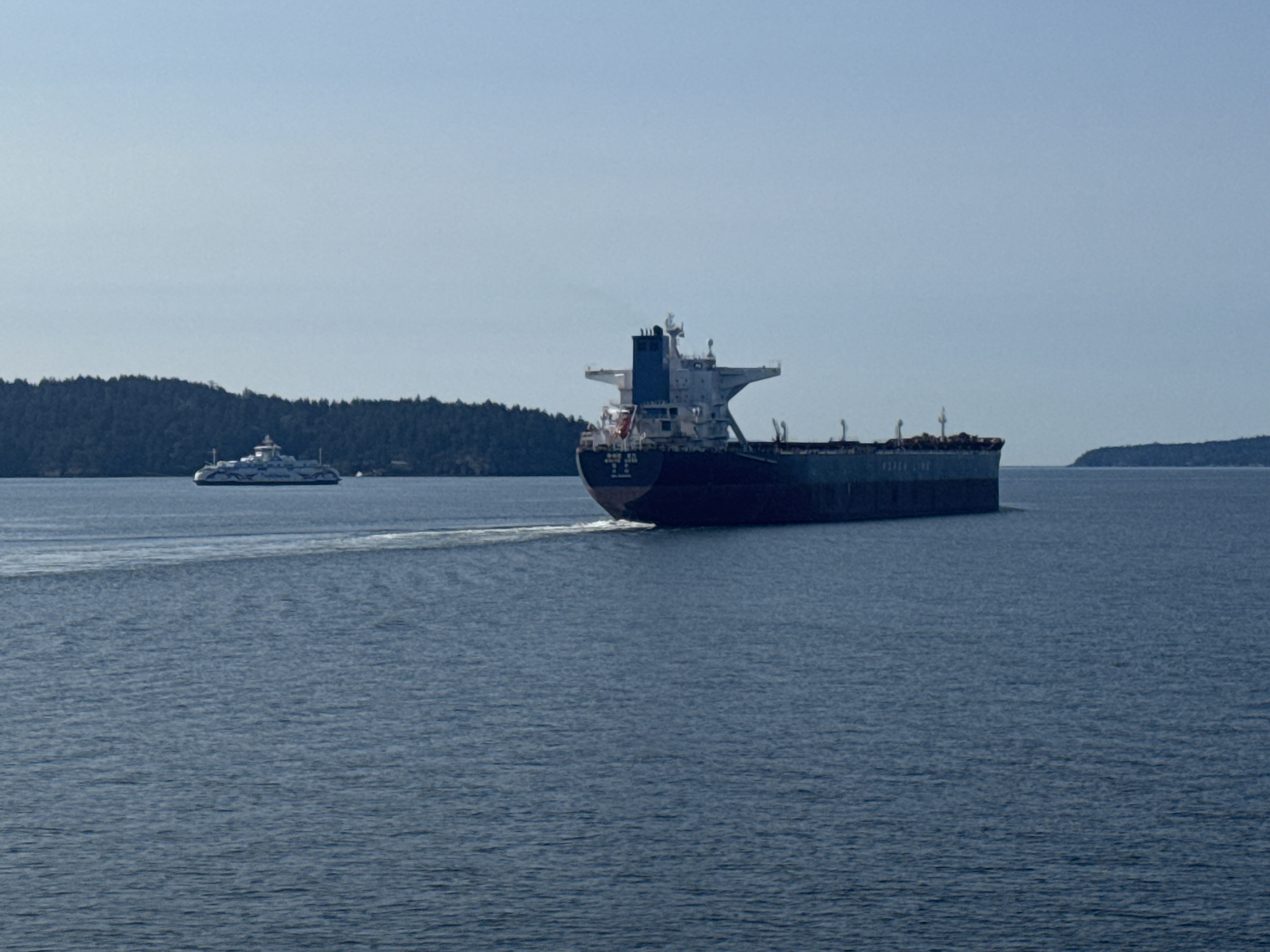 A cargo ship is seen in the foreground of the image, sailing on a large body of water. The ship is dark in color and appears to be a bulk carrier, with a prominent superstructure at the rear. A wake trails behind it, indicating movement. In the background, a ferry is visible in the distance, heading towards a wooded island. The sky is clear and blue, with a hint of haze. The water is calm and reflects the blue of the sky. The location is likely within the waters surrounding Salt Spring Island Electoral Area, Canada, given the presence of ferries and islands characteristic of the region.