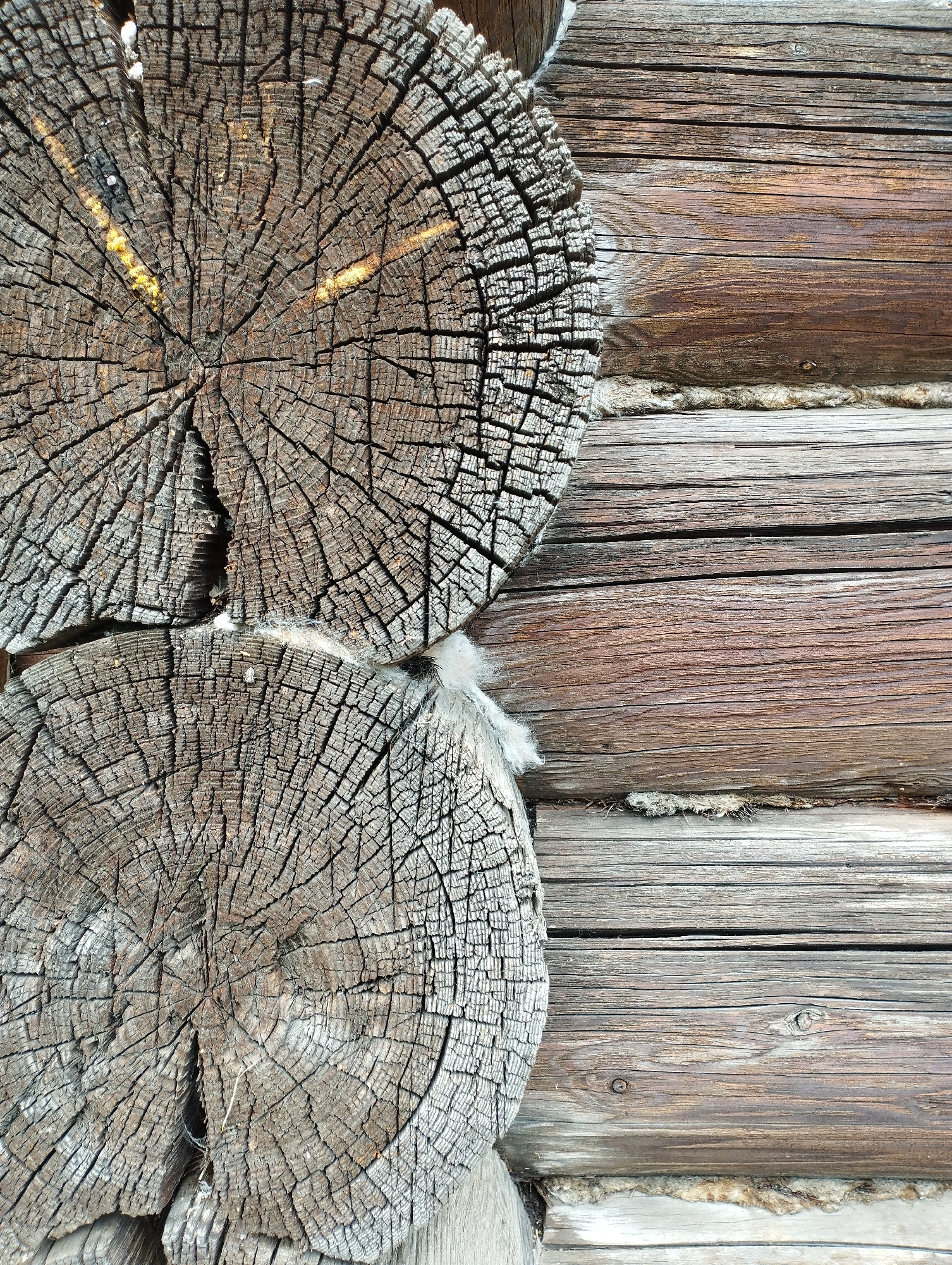 The image displays a close-up view of a weathered wooden structure, likely a log cabin. On the left side of the frame, two circular cross-sections of large logs are visible, showcasing intricate growth rings and deep cracks. These logs appear old and dry, with a grayish-brown, textured surface. Some light yellow material, possibly resin or sap, is present within the cracks of the upper log. White, fluffy material, possibly insulation or animal fur, is seen in the gaps between the logs. The right side of the image features horizontal wooden planks, forming a wall. These planks are of varying widths and exhibit a darker, reddish-brown hue, with visible grain patterns and some knots. The overall scene suggests an outdoor setting, characterized by the rustic and aged appearance of the wood. The location is identified as Ширяево (ильинский), Russia.