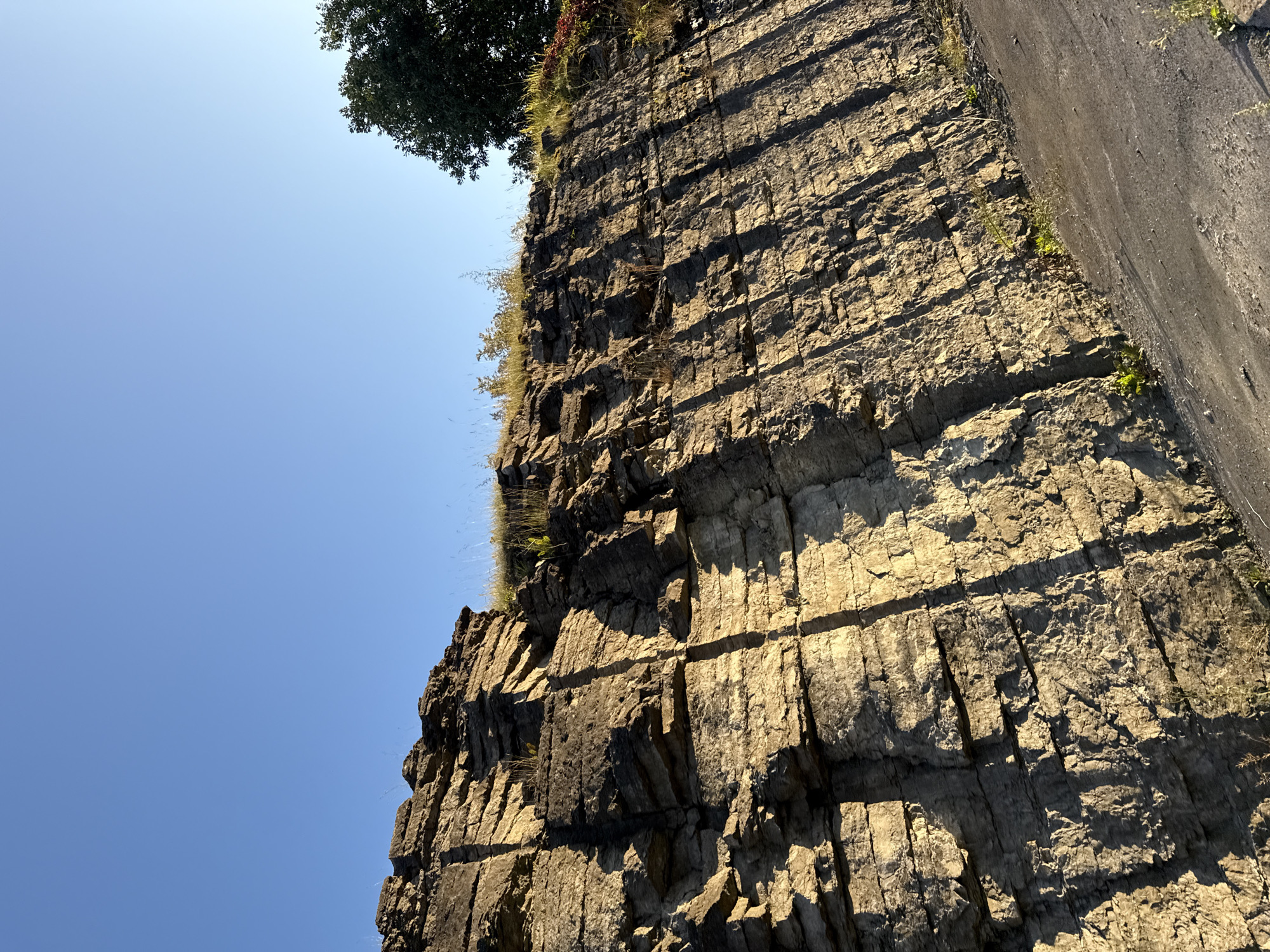 The image shows a rock face with distinct horizontal layers, possibly sedimentary rock, illuminated by the low angle of the sun, casting long shadows. The rock face is steep, and the ground in front of it appears to be rough and possibly unpaved. Some sparse vegetation, including grass and small plants, can be seen growing on the rock face and along the ground. In the upper right corner, the dark green foliage of a tree is visible against a clear blue sky. The scene depicts an outdoor environment with natural geological features.
Based on visual cues, this image appears to be a geological formation, likely a cliff or quarry wall. The specific location in Tallinn, Estonia, cannot be determined from the image alone, as it lacks any identifying landmarks or context. However, geological formations of this type can be found in various areas around the Baltic Sea region.
