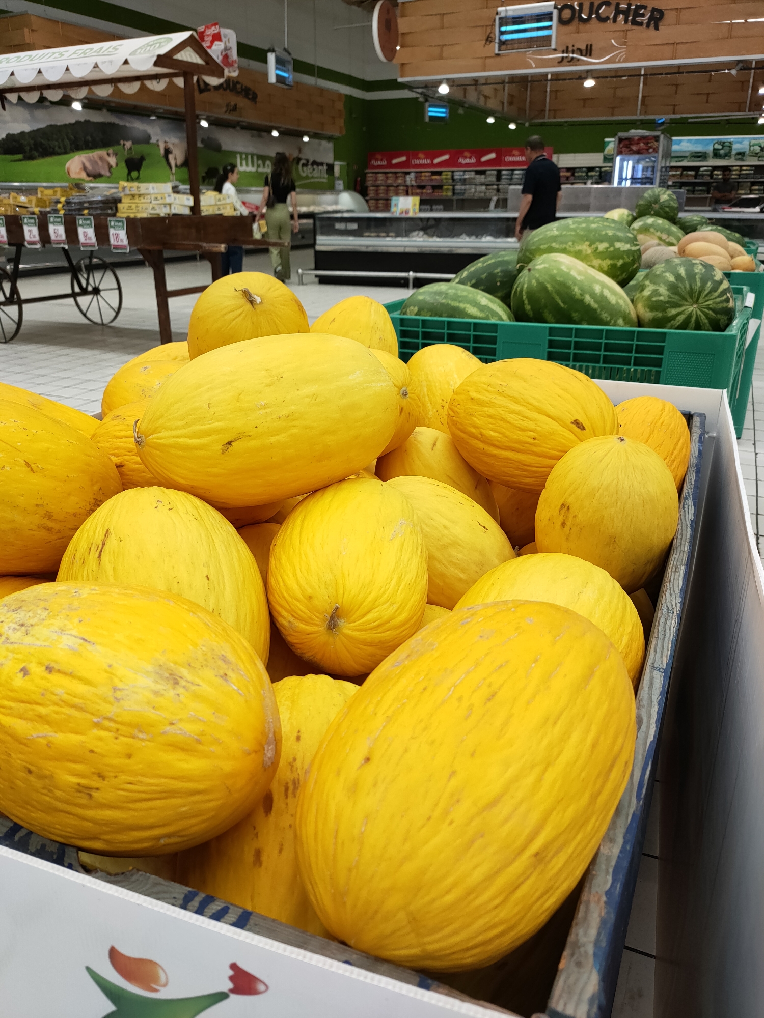 This media file captures a close-up view of a display of ripe yellow melons in a supermarket produce section. Several large, oblong melons are piled high, their smooth, bright yellow skin showing subtle variations in tone and some minor blemishes. In the foreground, the rounded shapes of the melons dominate the frame, with some slightly deflated ones at the bottom of the display. The melons are arranged in a crate with weathered blue and natural wood accents, suggesting they are part of a larger bulk display.
Behind the melons, a glimpse of the supermarket environment is visible. In the mid-ground, a green plastic crate holds a collection of watermelons, their dark green rinds contrasting with the yellow of the foreground fruit. Further back, the store's interior is illuminated by overhead lighting, creating a bright, commercial atmosphere.
In the background, several people are present, casually browsing the aisles. One person, wearing a black t-shirt and dark pants, is visible at a distance, looking towards the produce. Two women, one in a white top and the other in a black top and green pants, are further back, near a wooden display stand. This wooden stand has a white canopy and appears to be selling pre-packaged goods, with visible price tags of 2, 5, 9, and 18.
Above the produce section, signage is visible. Text in Arabic, including "الكيلو" (Al-Kilo - The Kilo) and "الجزار" (Al-Jazaar - The Butcher), is displayed on wooden boards, indicating different sections of the supermarket. The overall impression is a typical grocery shopping scene, likely during daytime hours given the bright interior lighting. The focus remains on the abundance and freshness of the fruit.